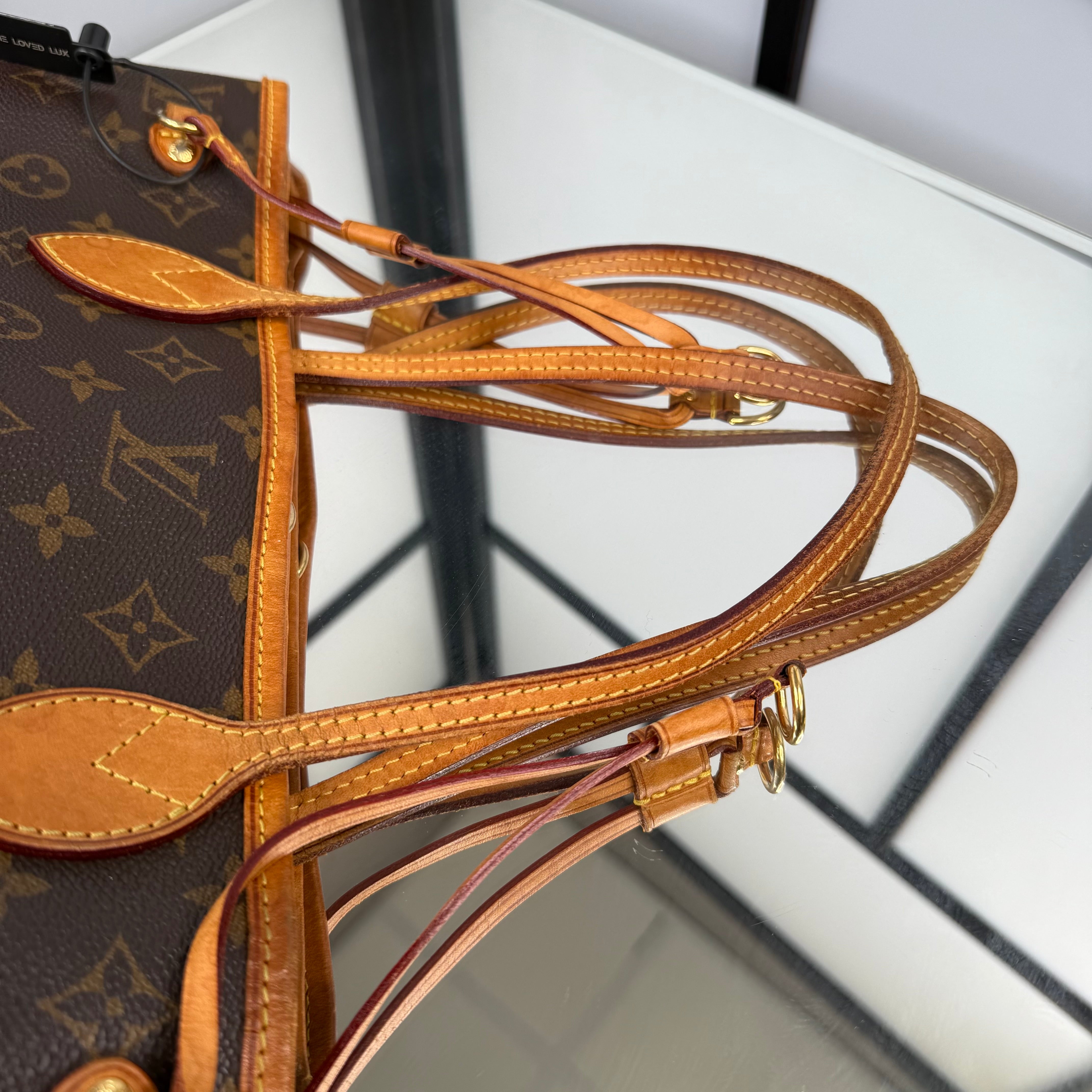 Louis Vuitton Monogram Neverfull PM