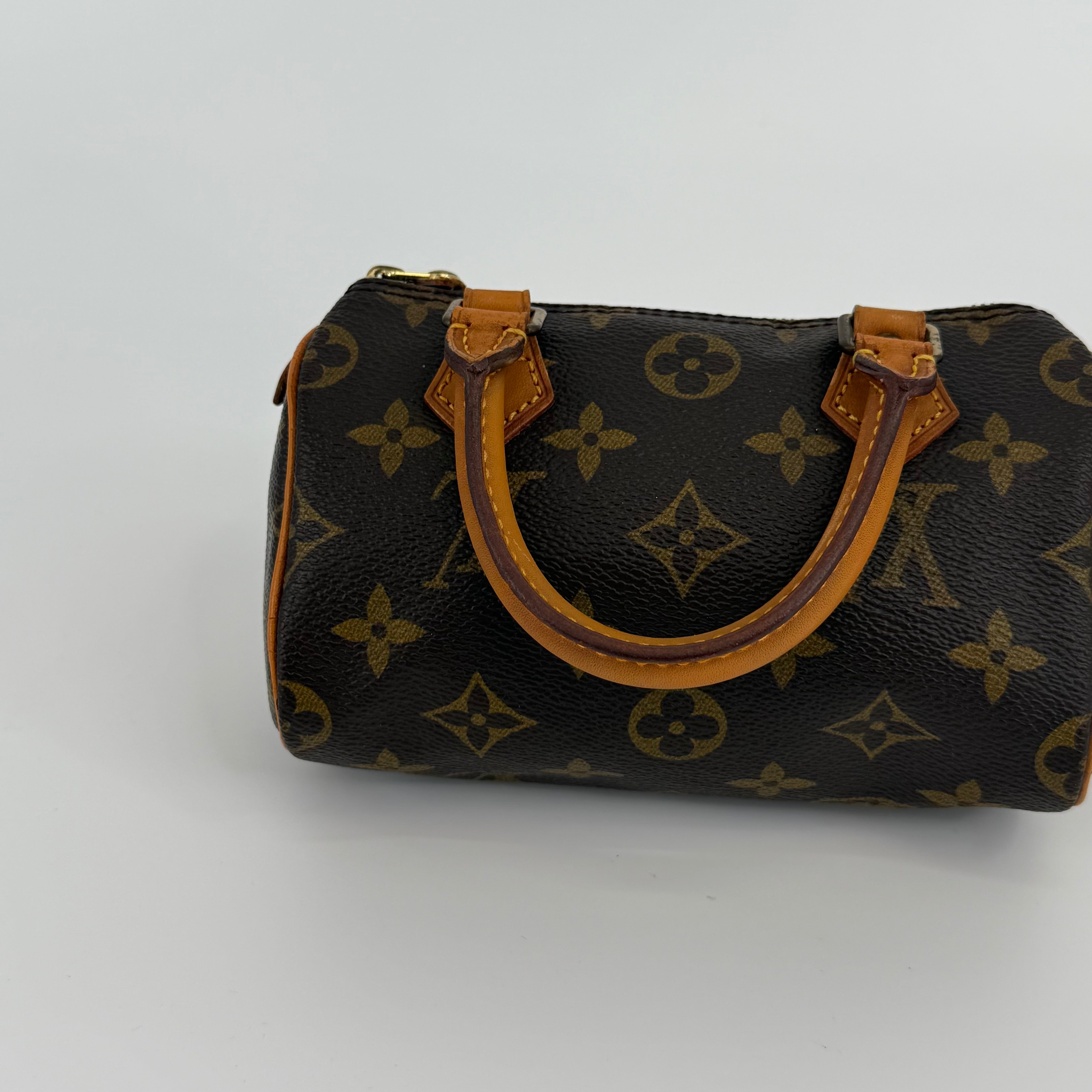 Louis Vuitton Monogram Nano Speedy 16