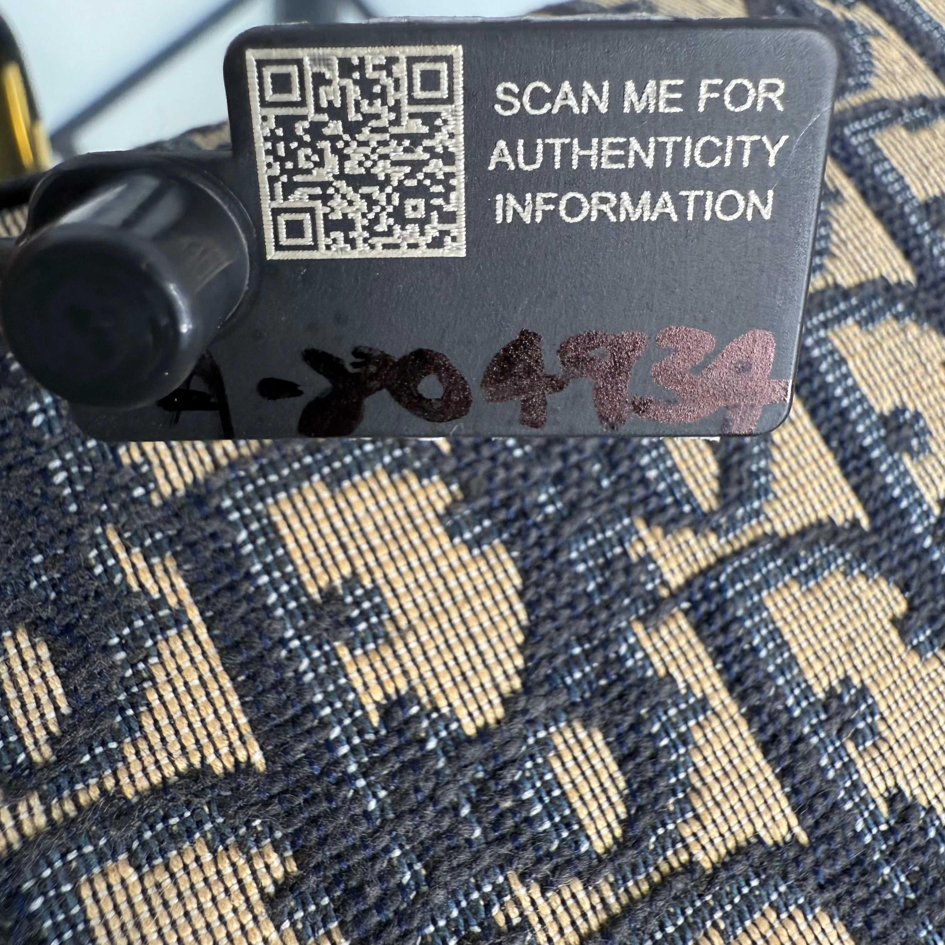 DIOR Trotter Canvas Shoulder Bag