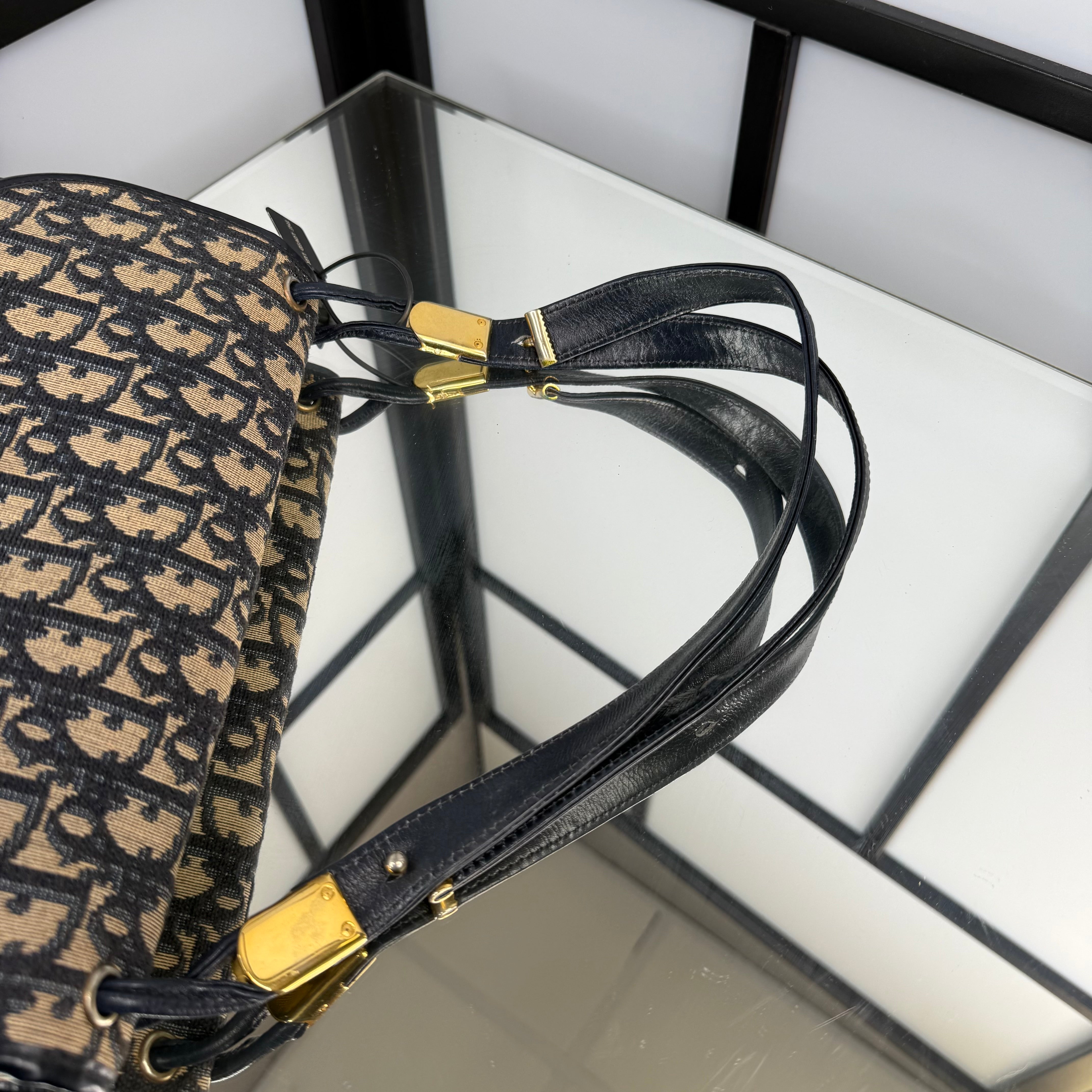 DIOR Trotter Canvas Shoulder Bag