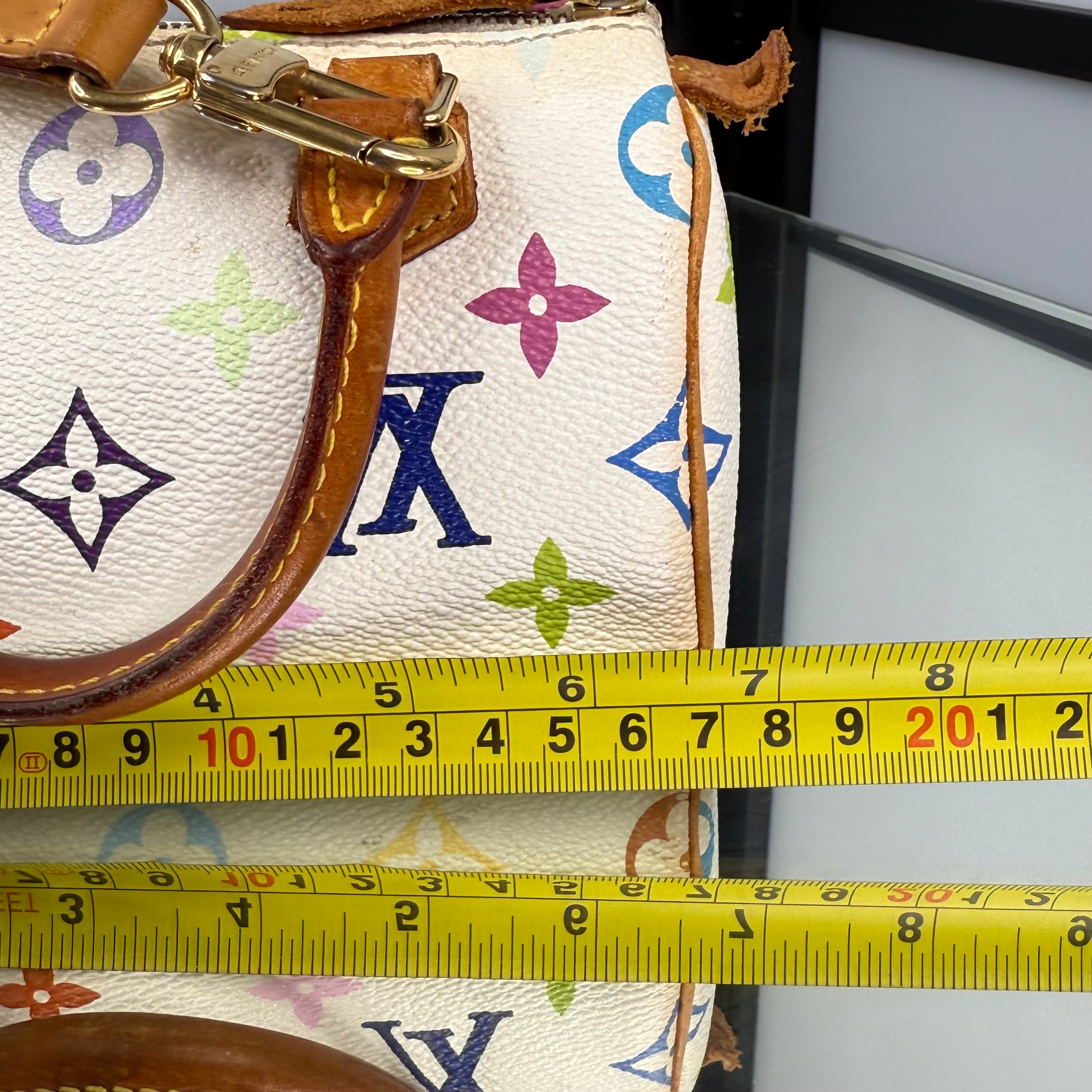 Louis Vuitton Takashi Murakami Nano Speedy