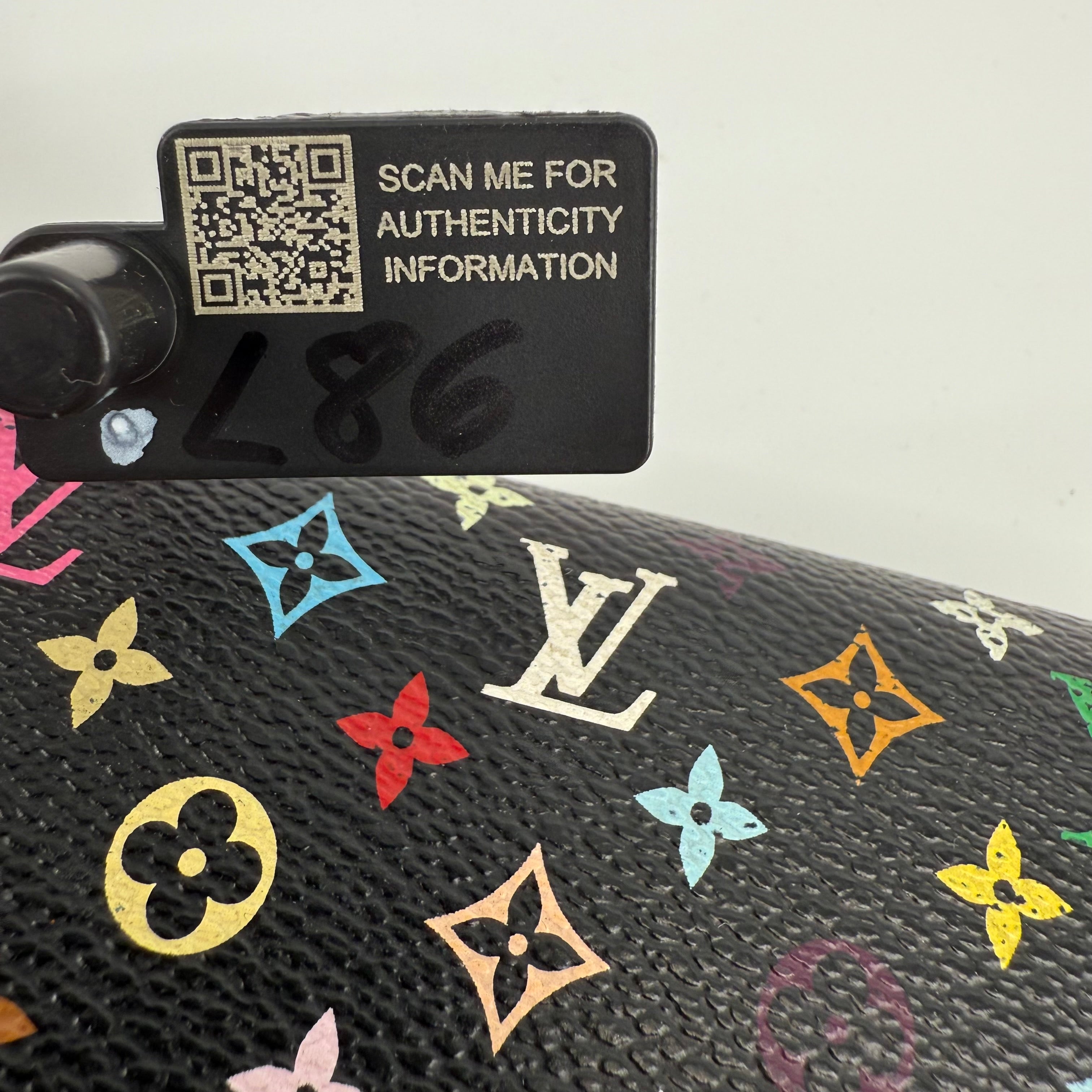 Louis Vuitton Multicolour Long Wallet On Chain