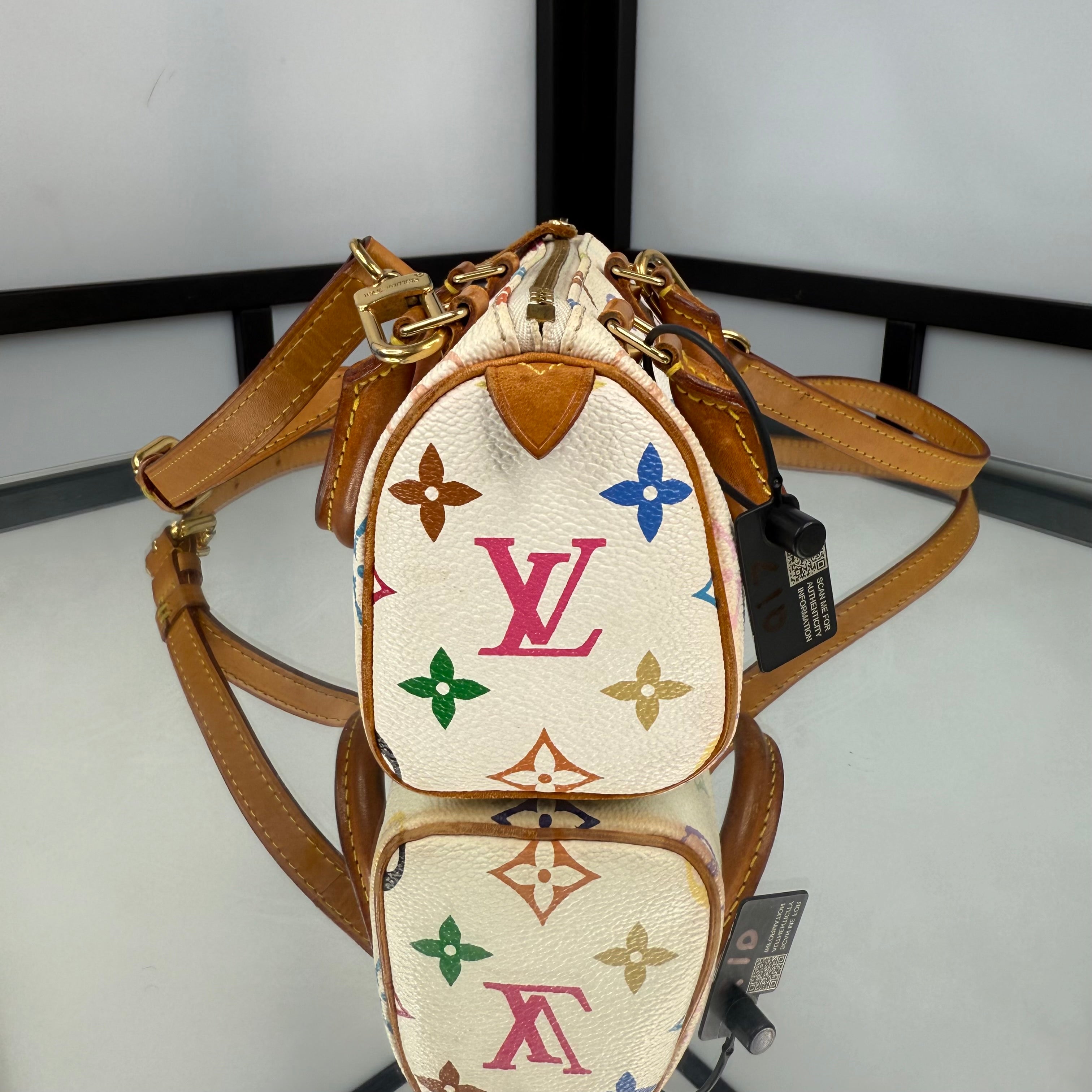 Louis Vuitton Takashi Murakami Nano Speedy