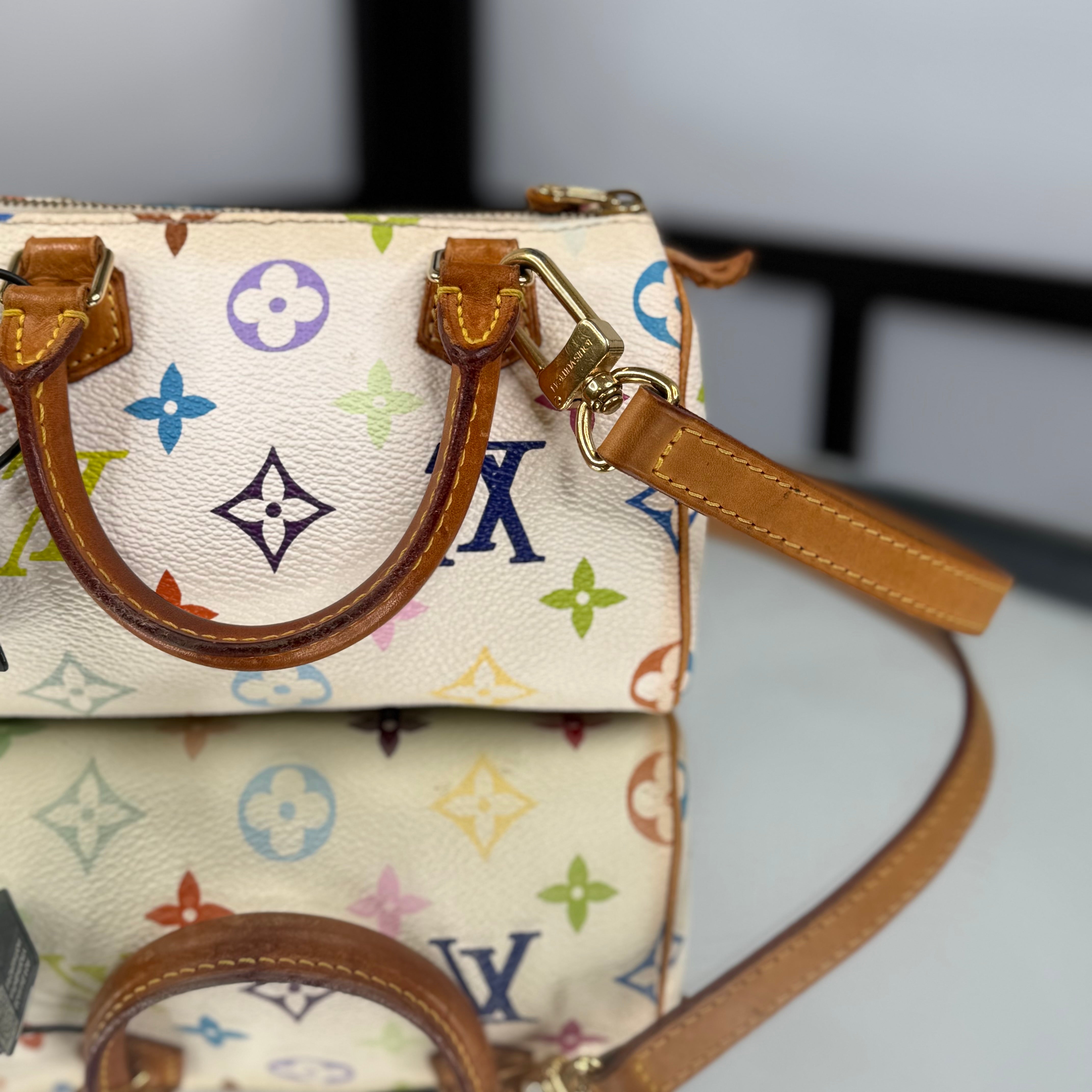 Louis Vuitton Takashi Murakami Nano Speedy