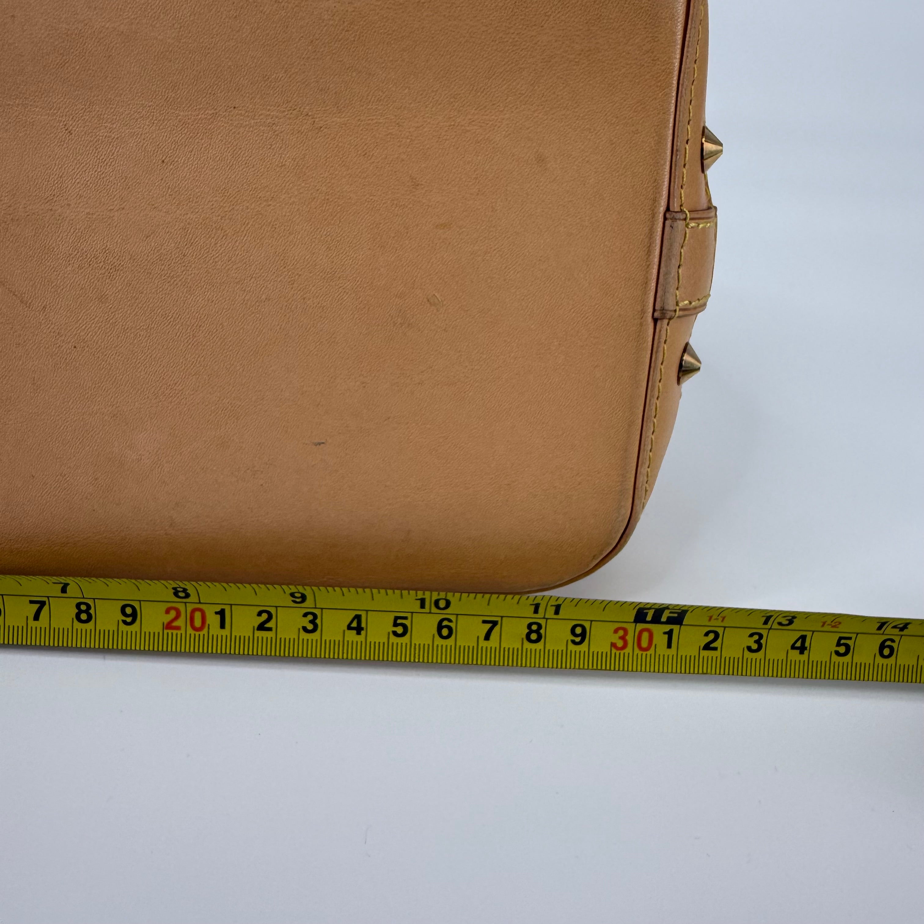 Louis Vuitton Takashi Murakami Alma PM