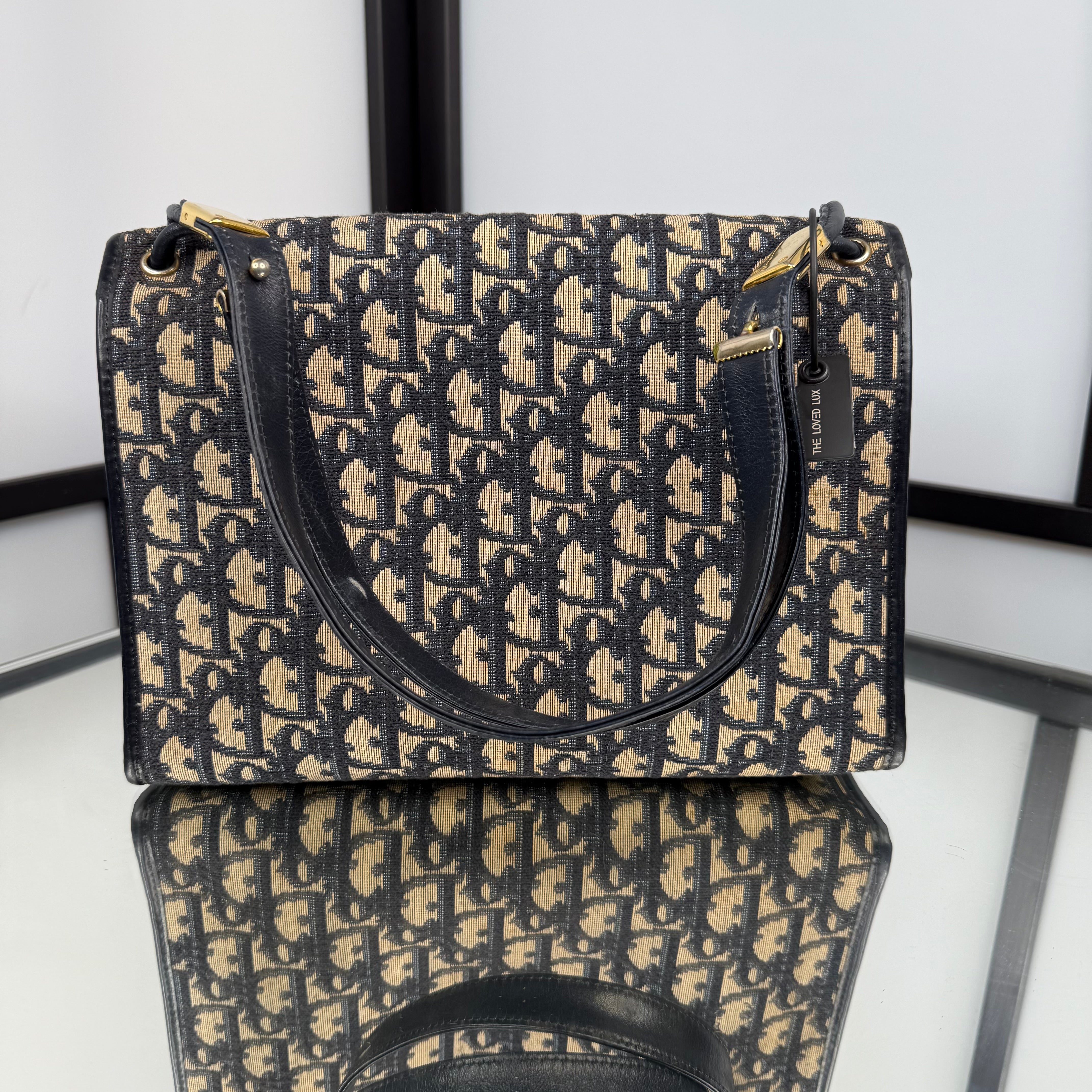 DIOR Trotter Canvas Shoulder Bag