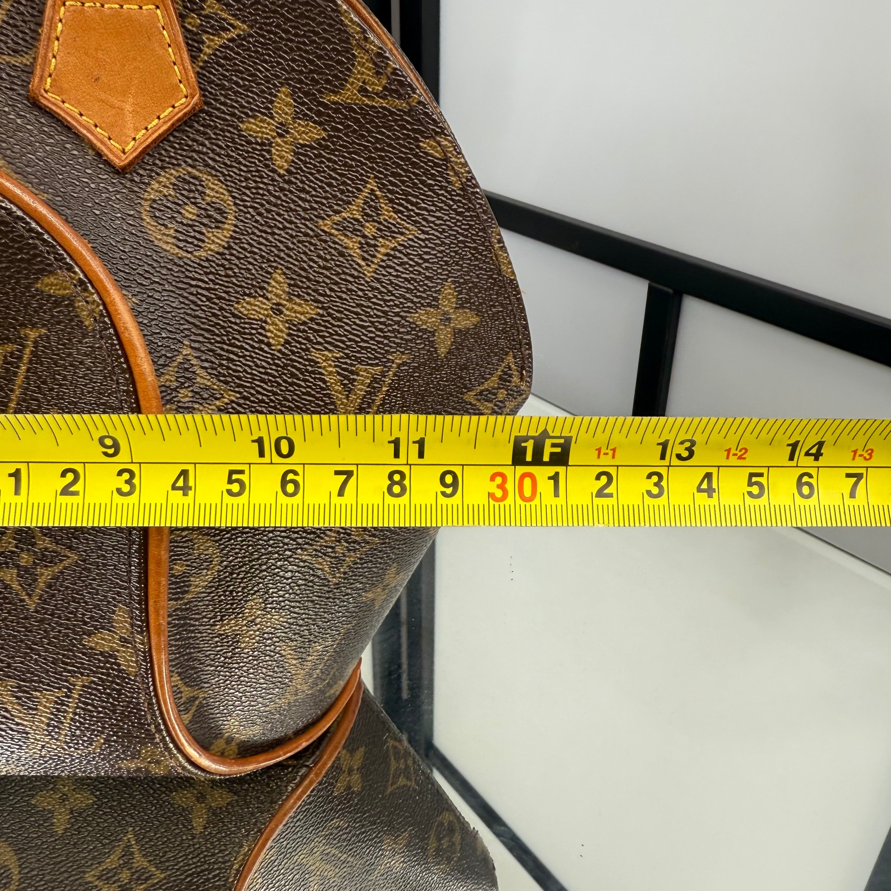 Louis Vuitton Monogram Ellipse Hand Bag