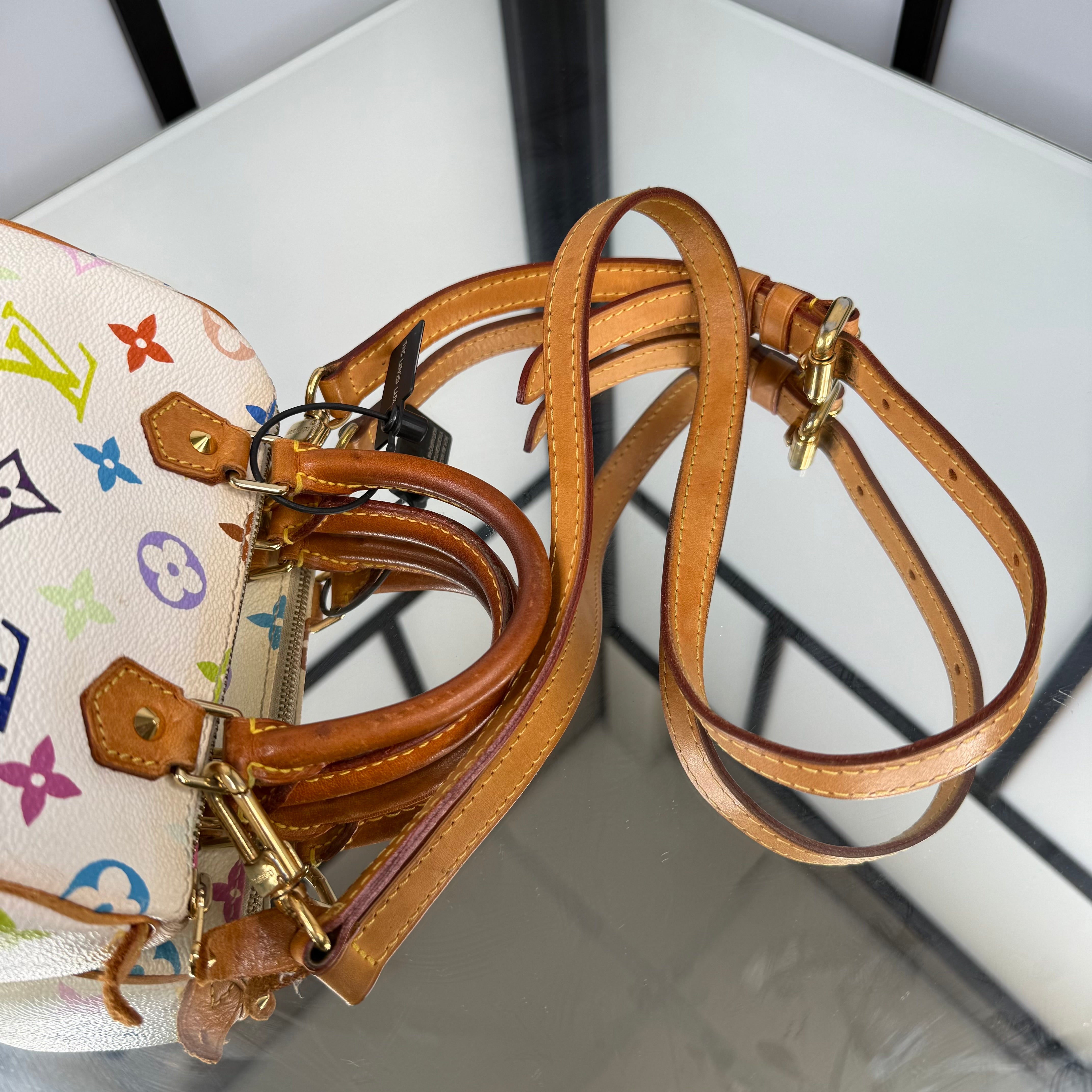 Louis Vuitton Takashi Murakami Nano Speedy