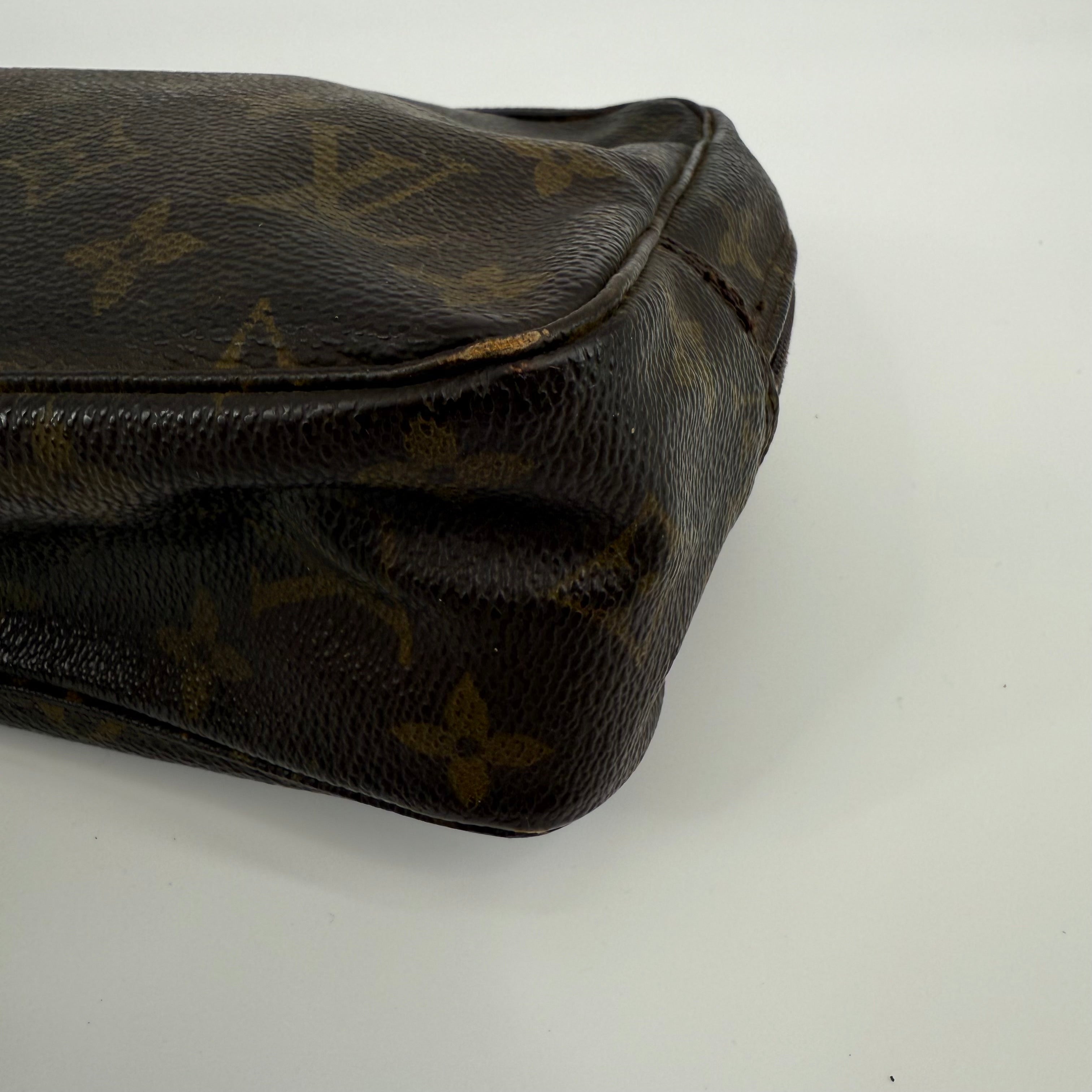 Louis Vuitton Monogram WashBag