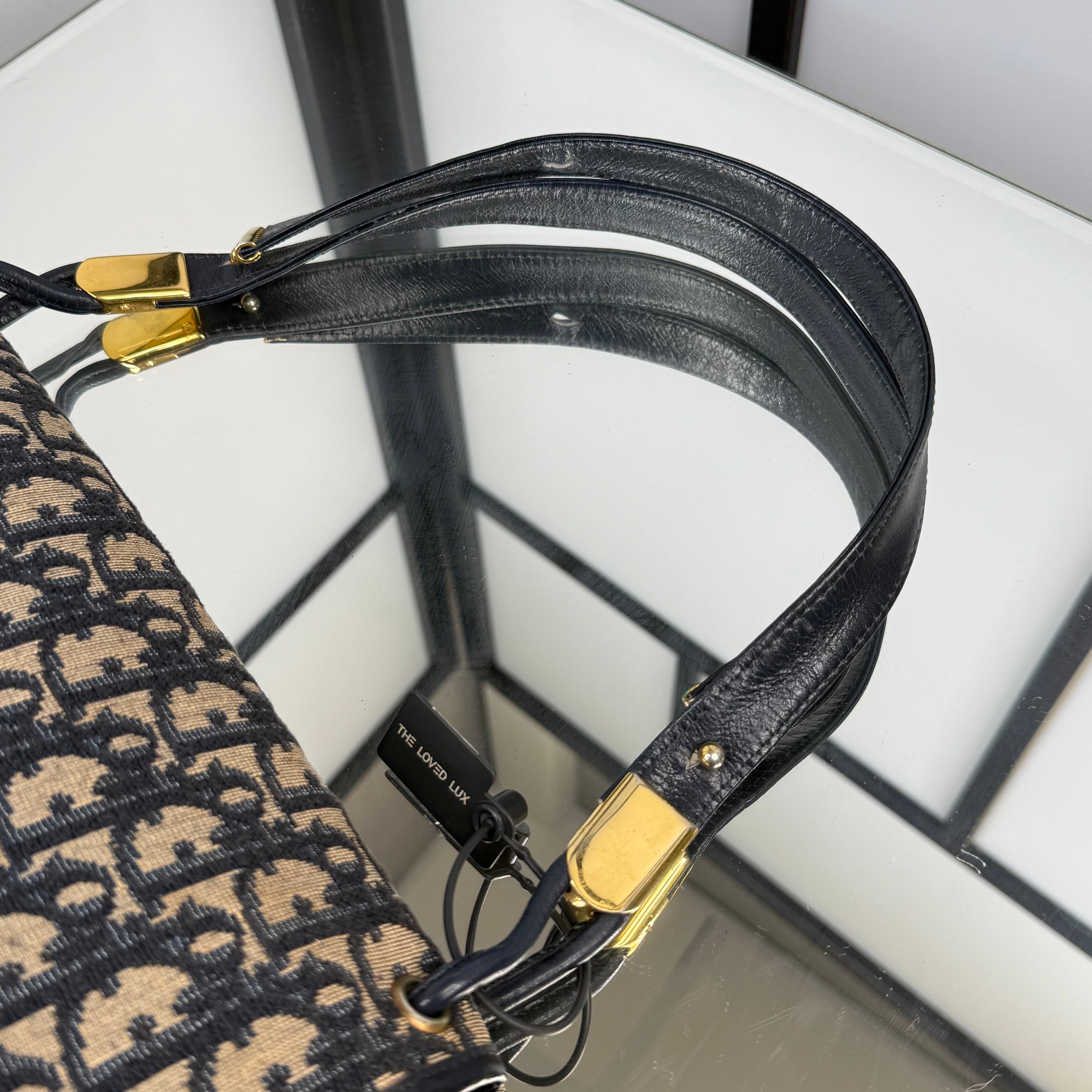 DIOR Trotter Canvas Shoulder Bag