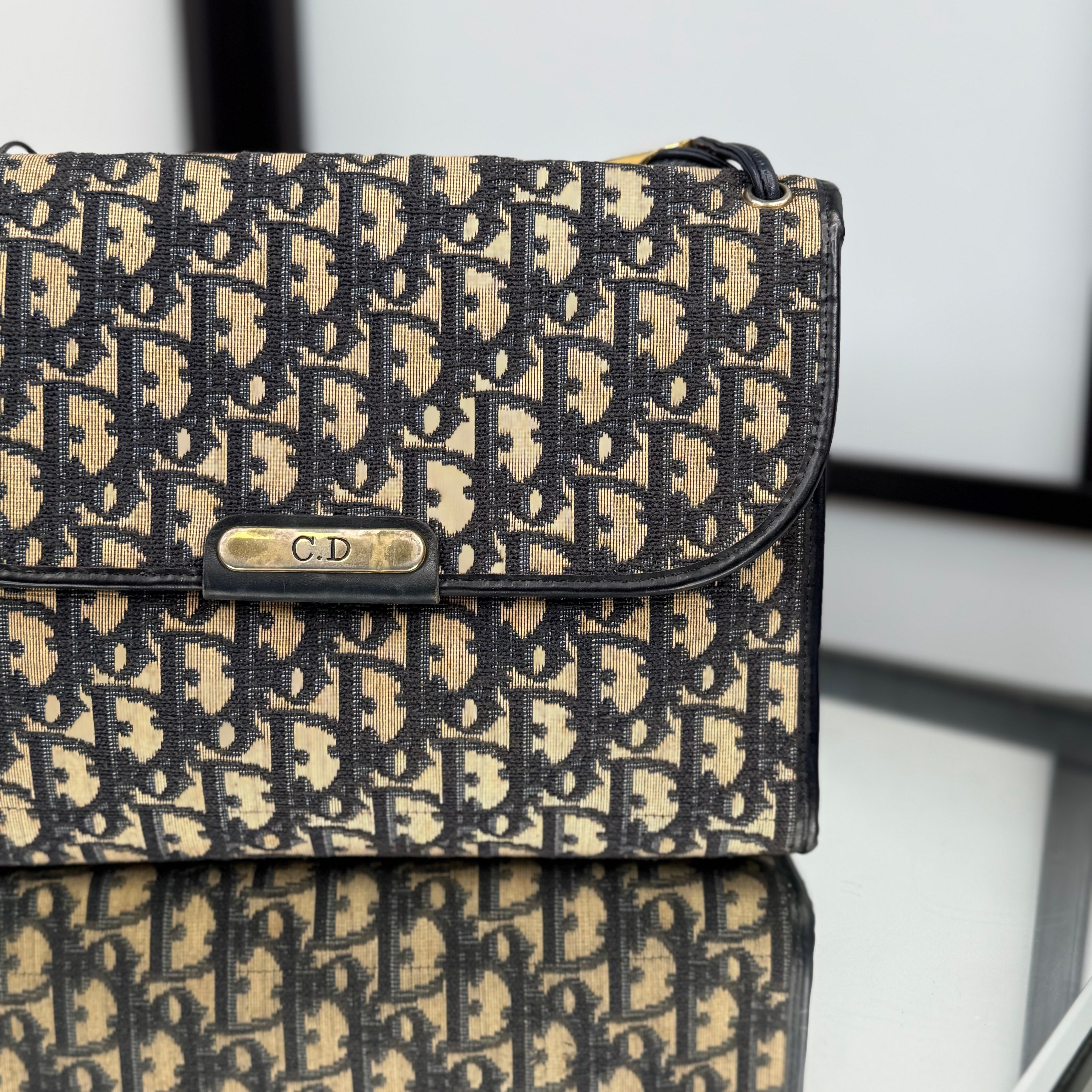 DIOR Trotter Canvas Shoulder Bag