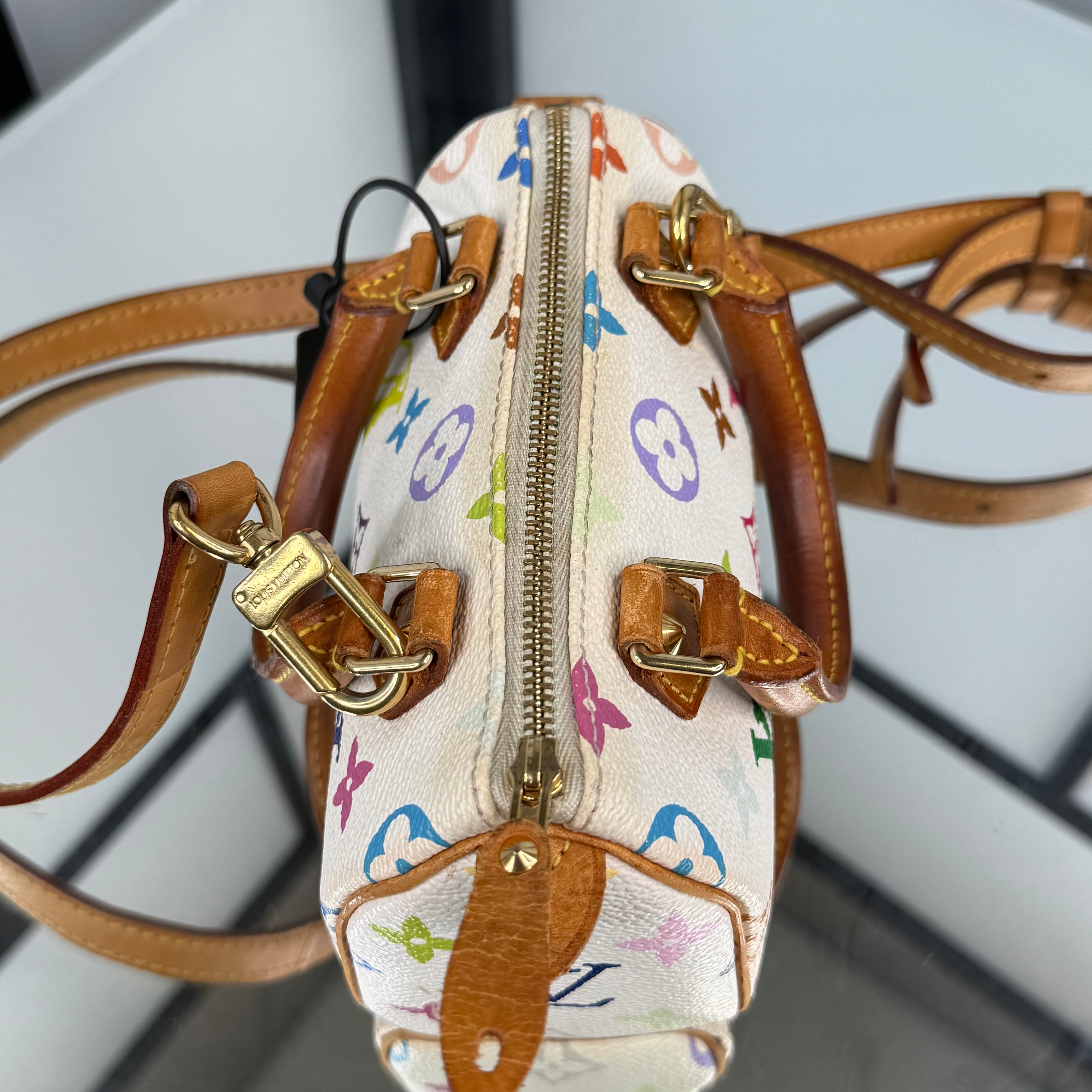 Louis Vuitton Takashi Murakami Nano Speedy
