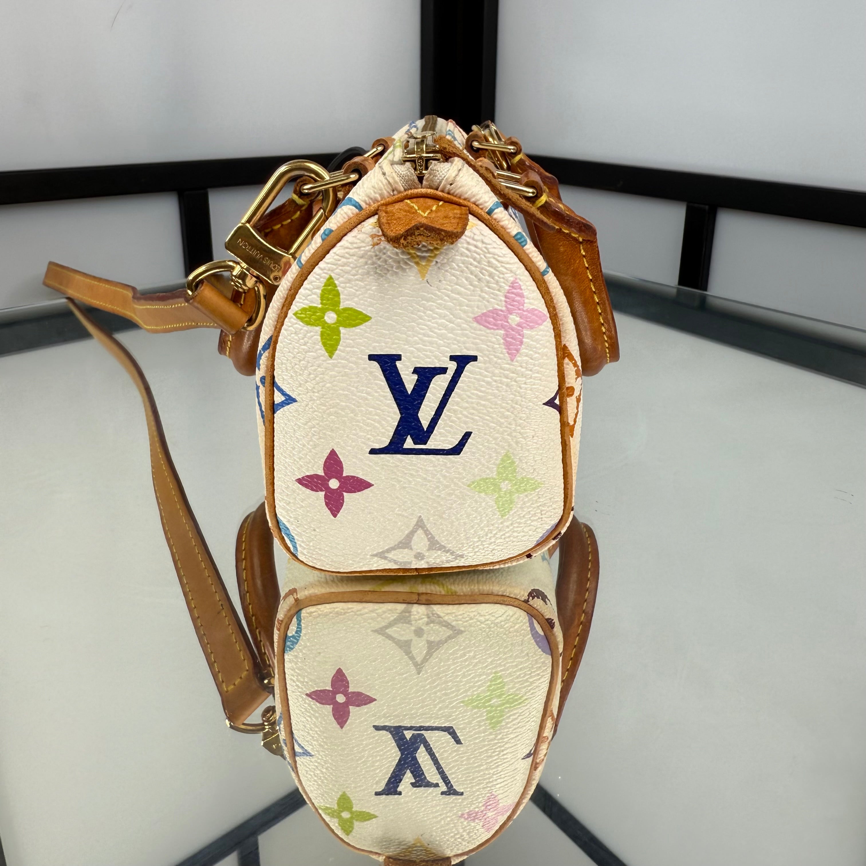 Louis Vuitton Takashi Murakami Nano Speedy