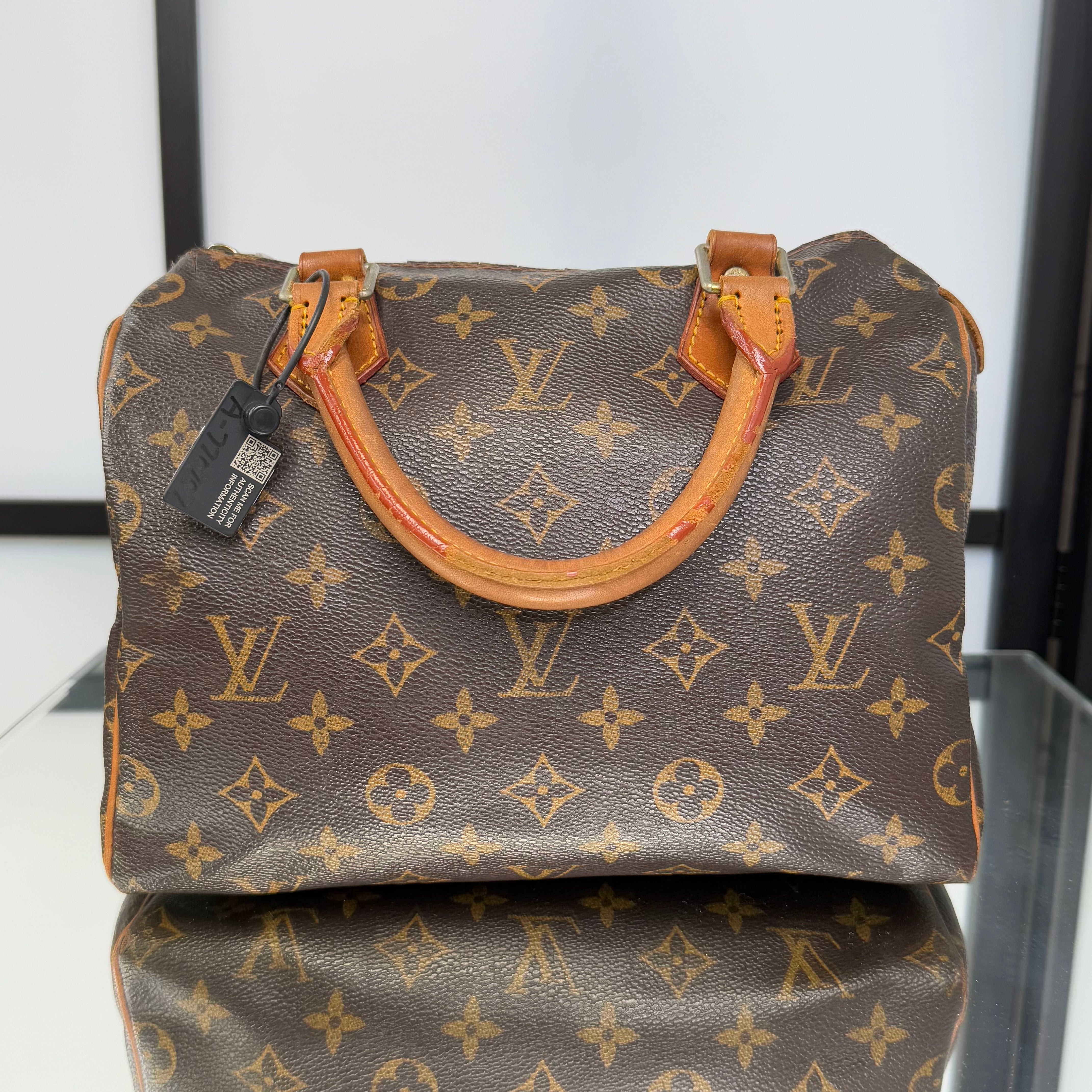 Louis Vuitton Monogram Speedy 25