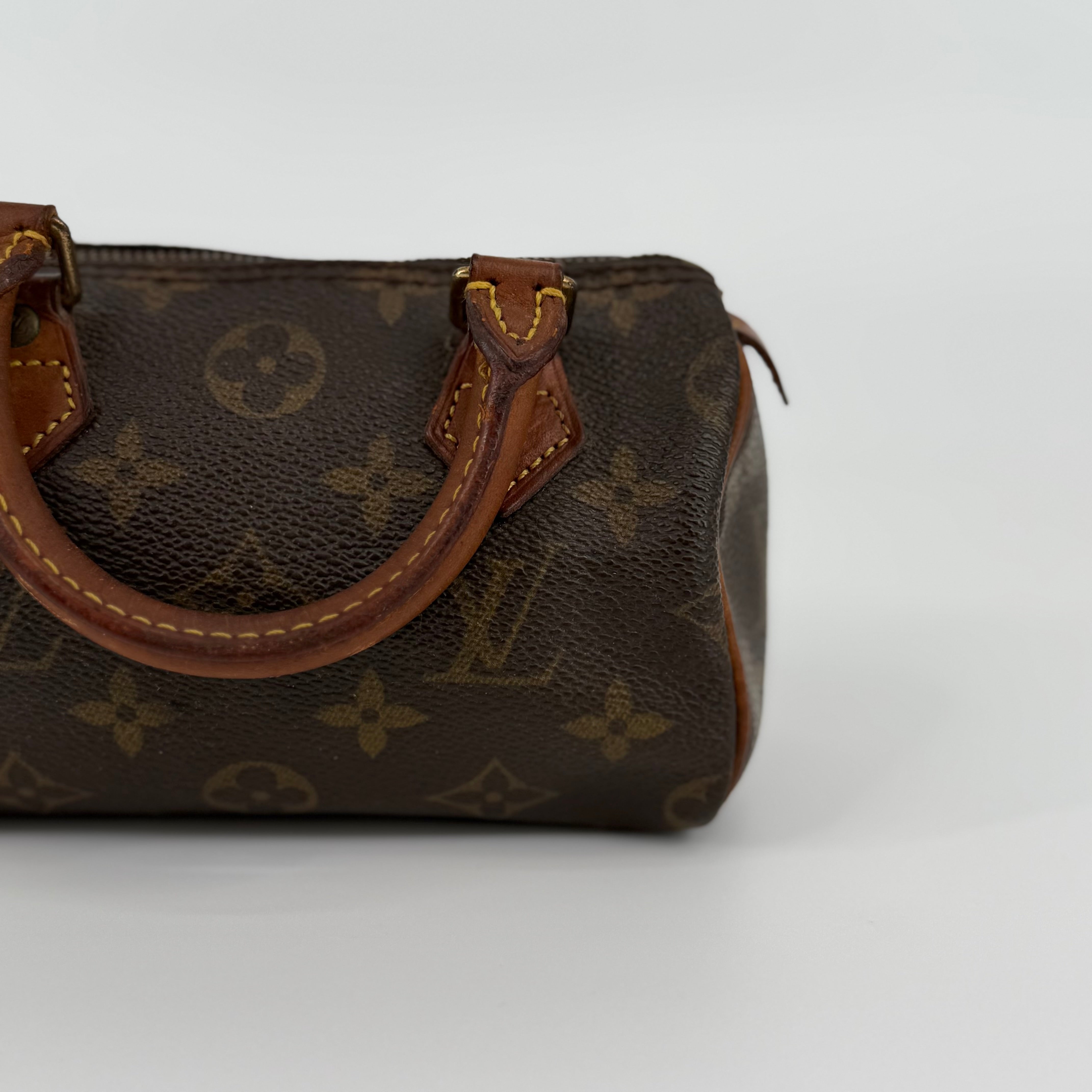 Louis Vuitton Monogram Nano Speedy 16