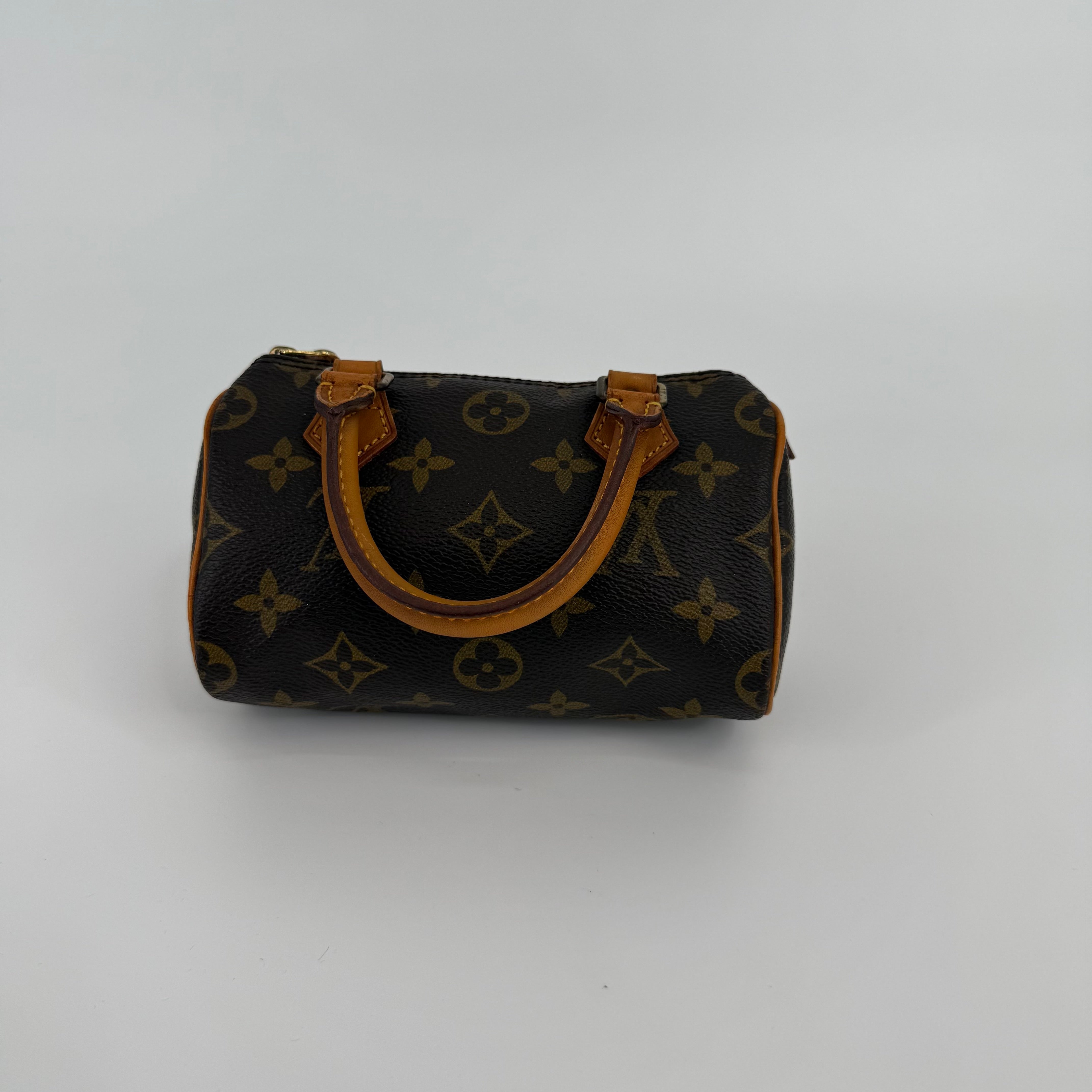 Louis Vuitton Monogram Nano Speedy 16