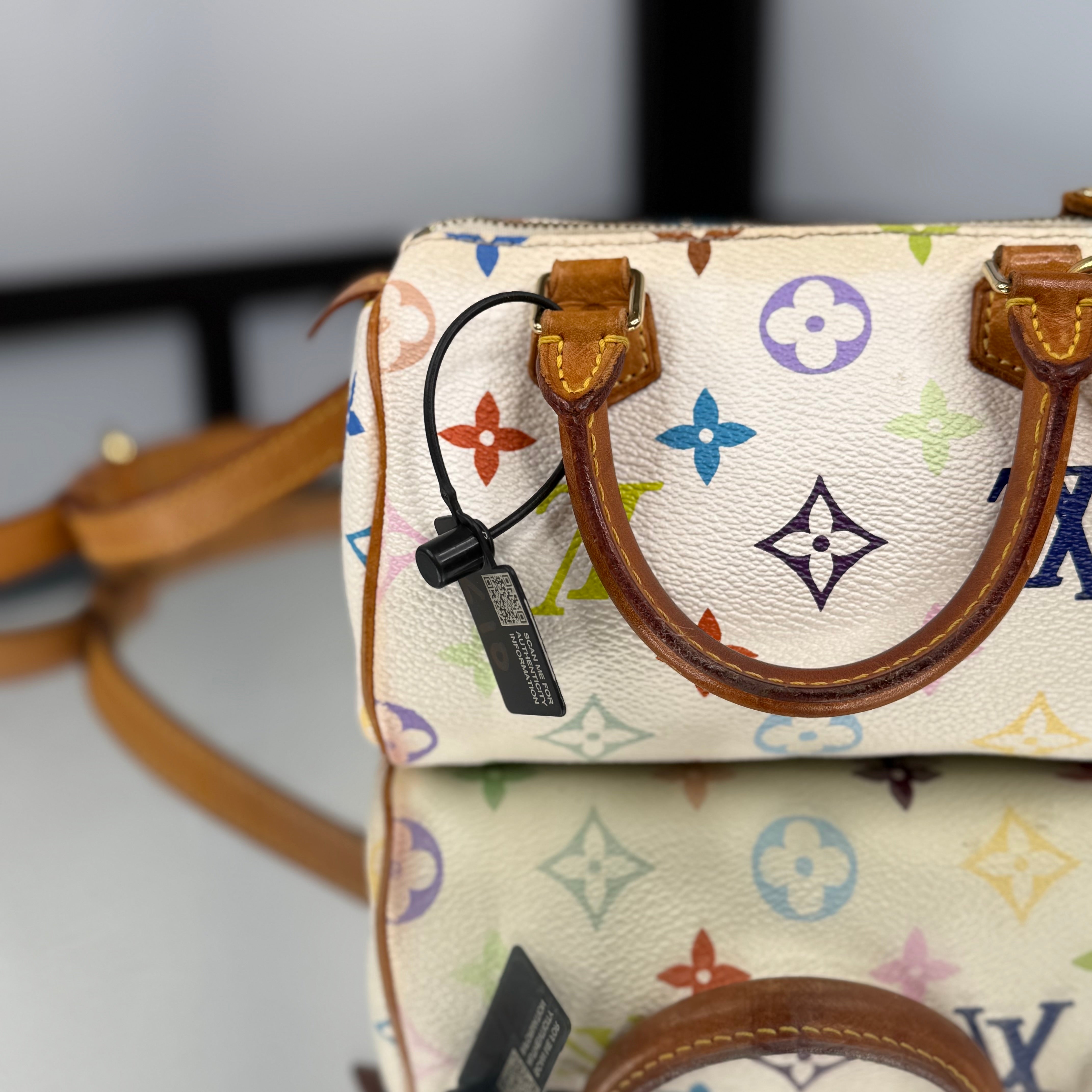 Louis Vuitton Takashi Murakami Nano Speedy