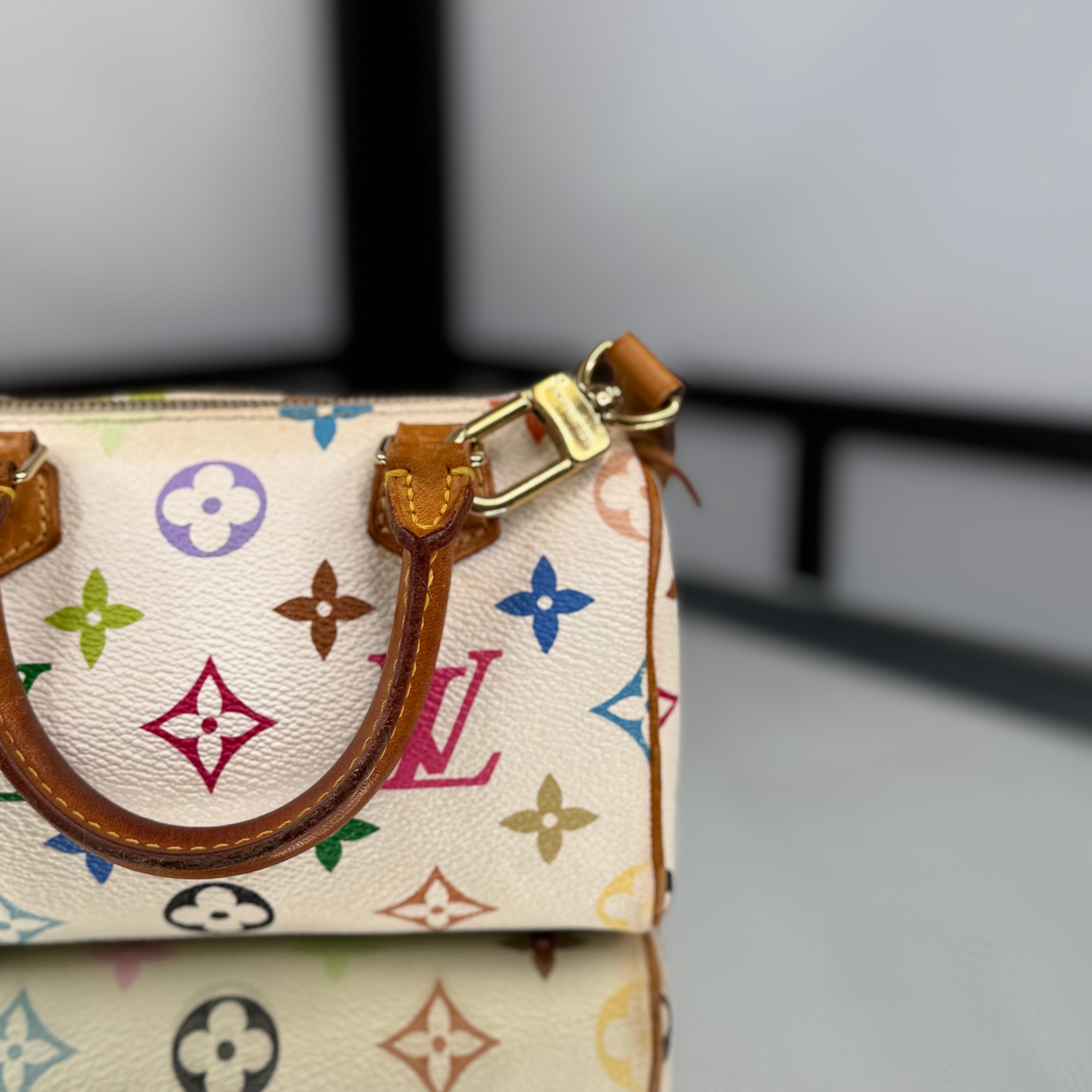 Louis Vuitton Takashi Murakami Nano Speedy