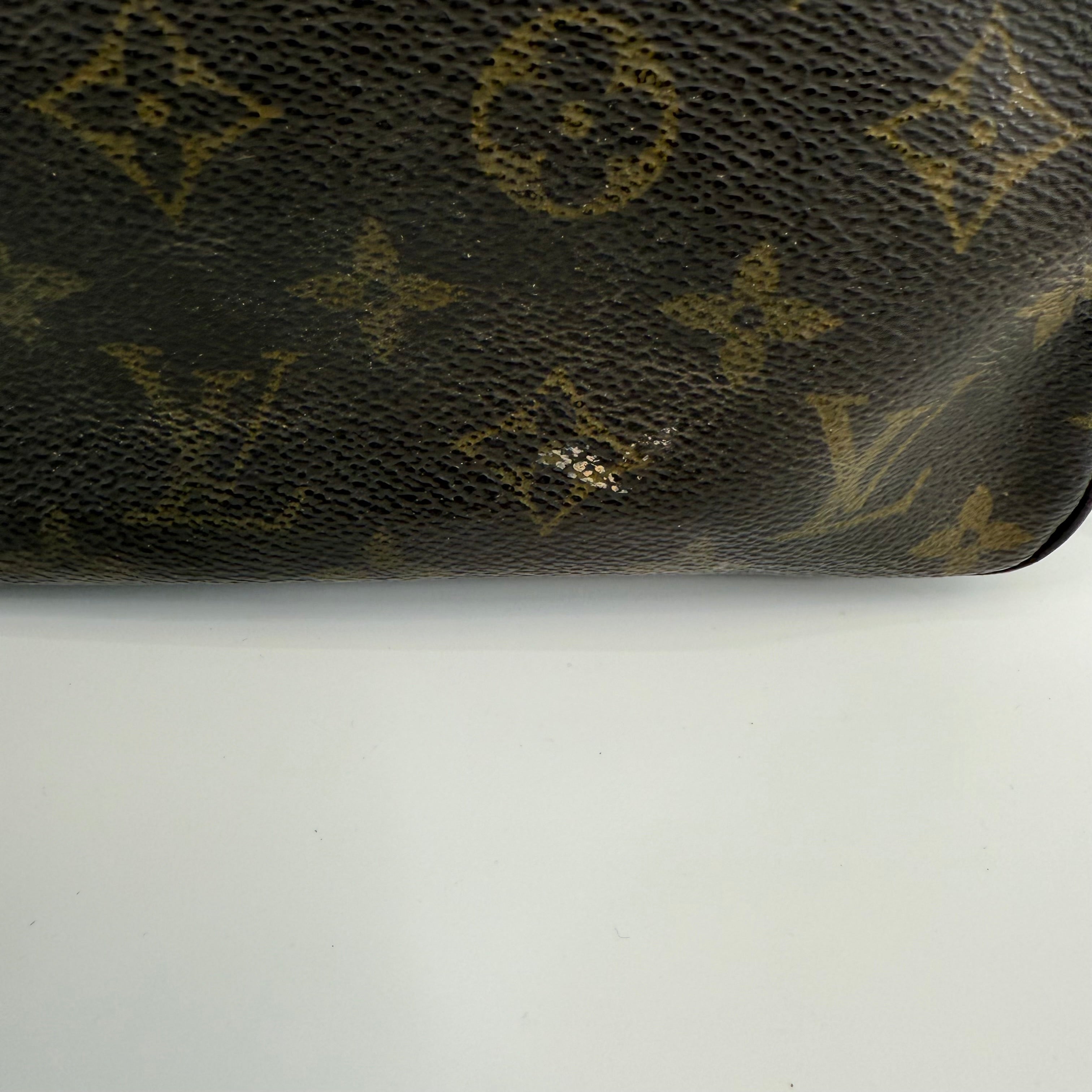 Louis Vuitton Monogram WashBag