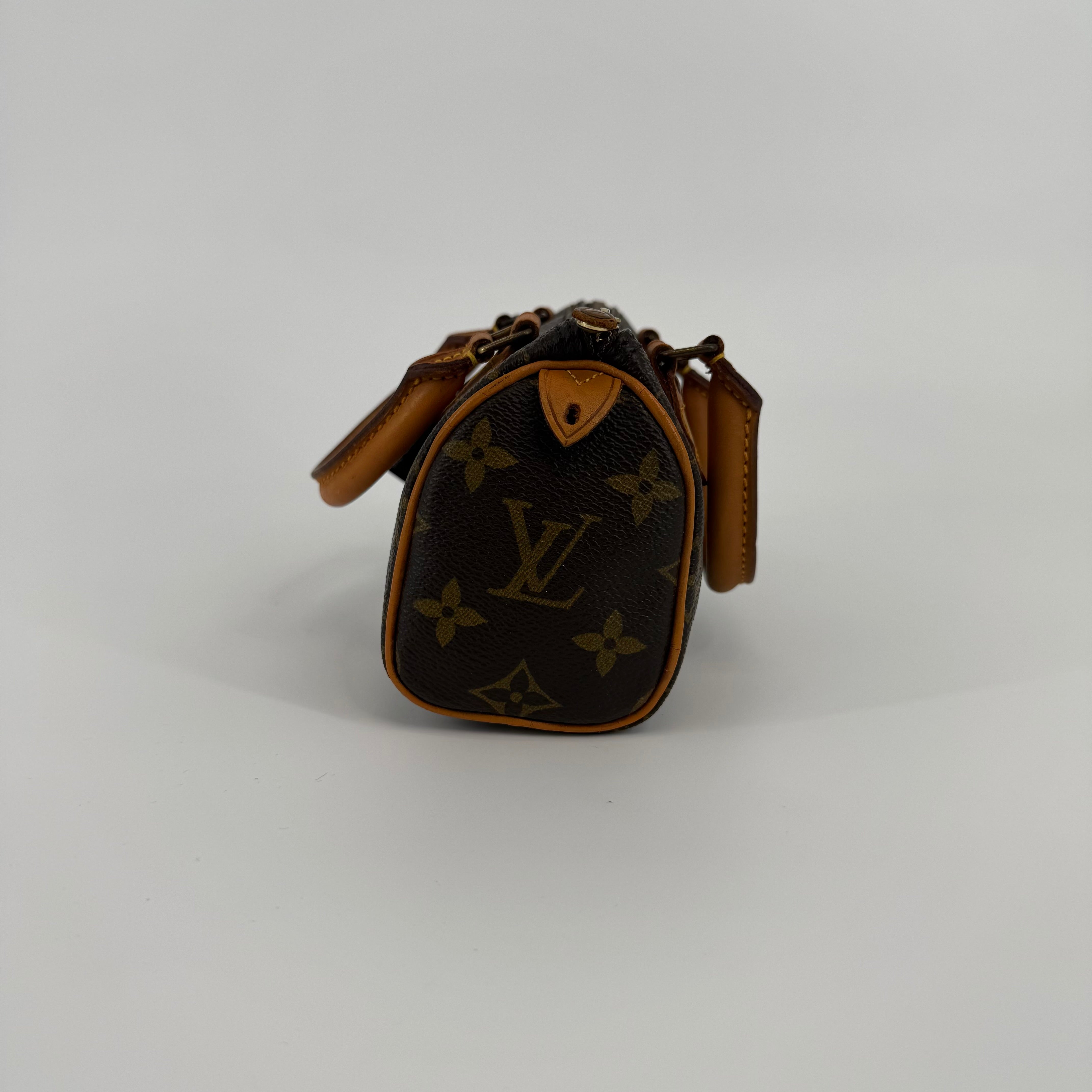 Louis Vuitton Monogram Nano Speedy 16