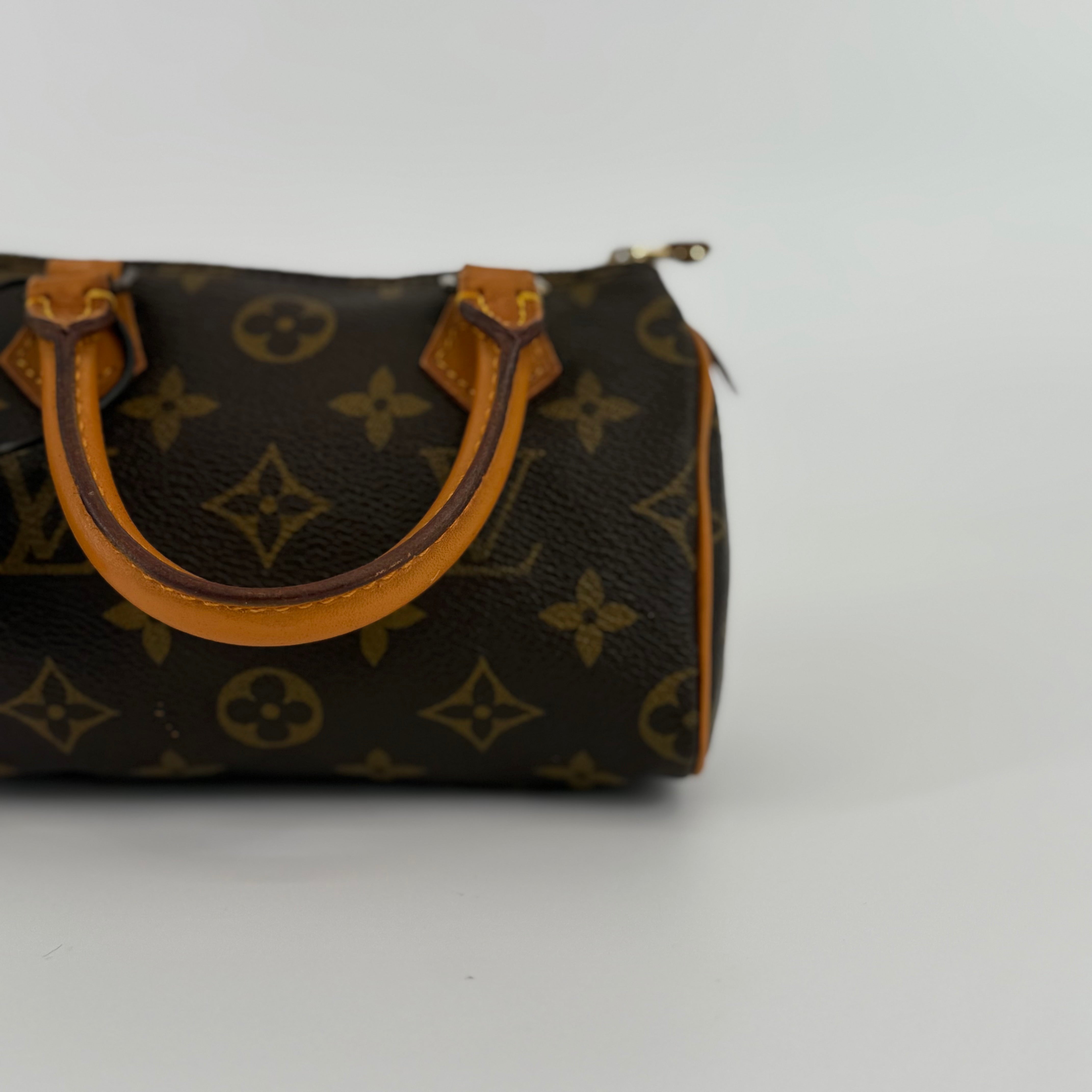 Louis Vuitton Monogram Nano Speedy 16