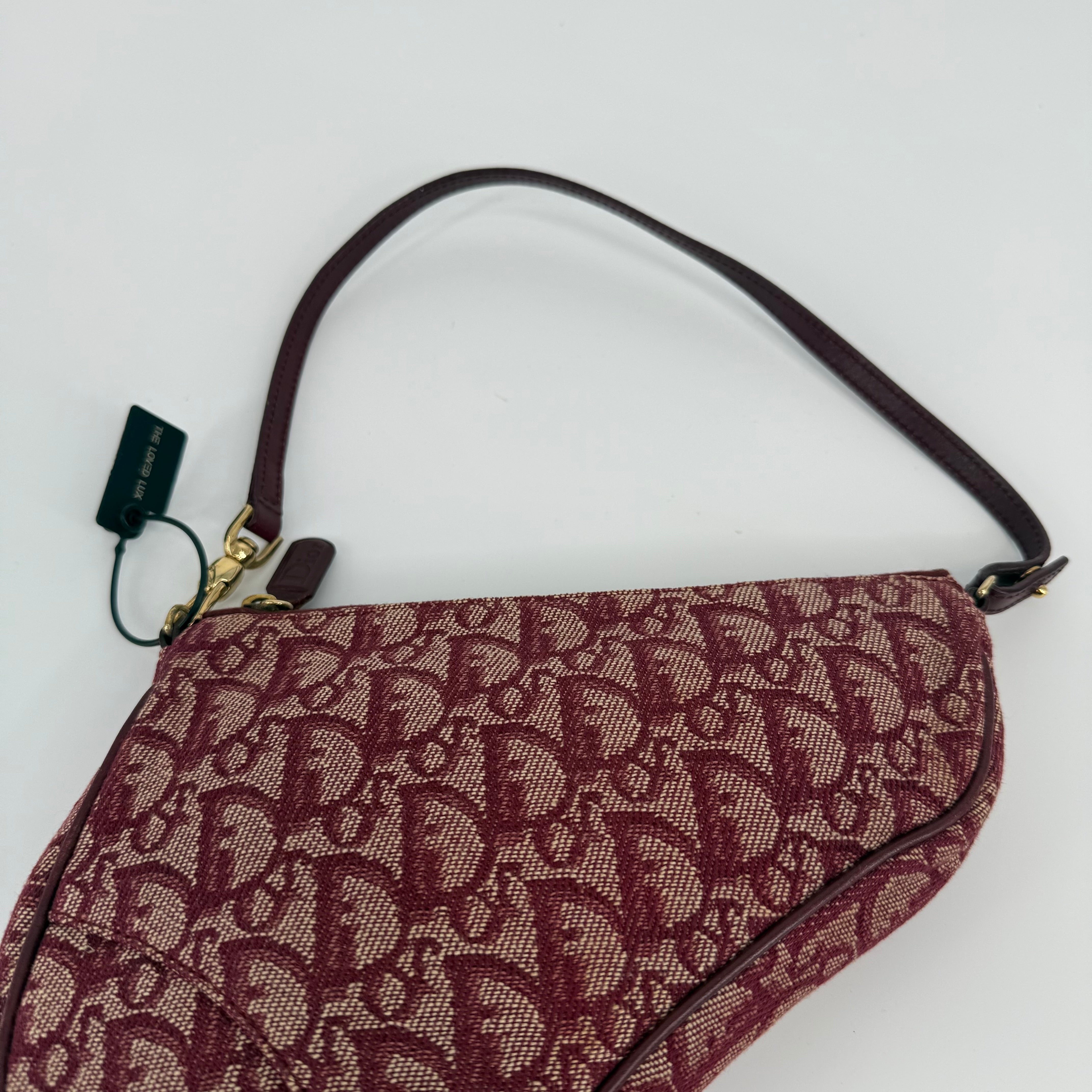 DIOR Pink Pony Saddle Trotter Handbag