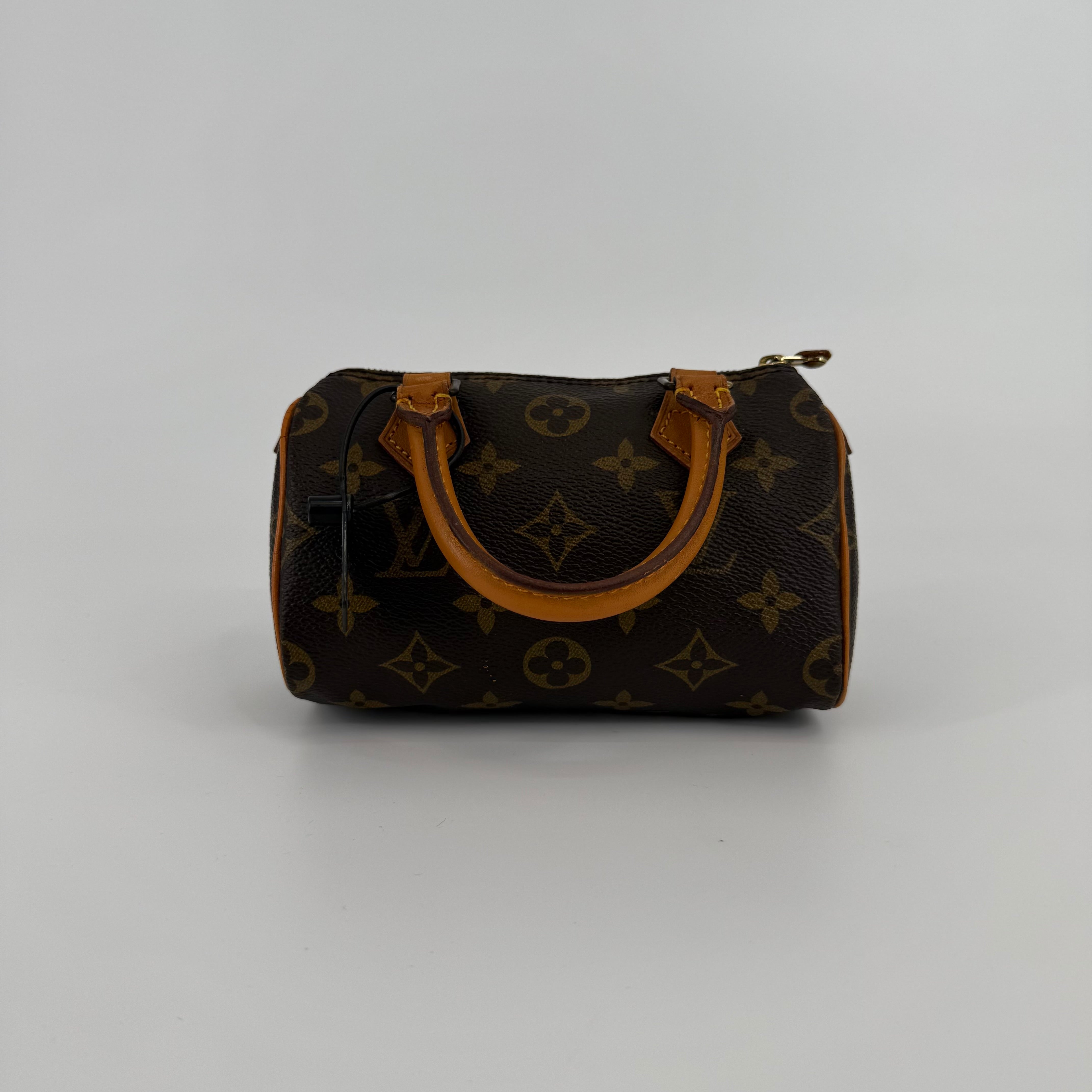 Louis Vuitton Monogram Nano Speedy 16