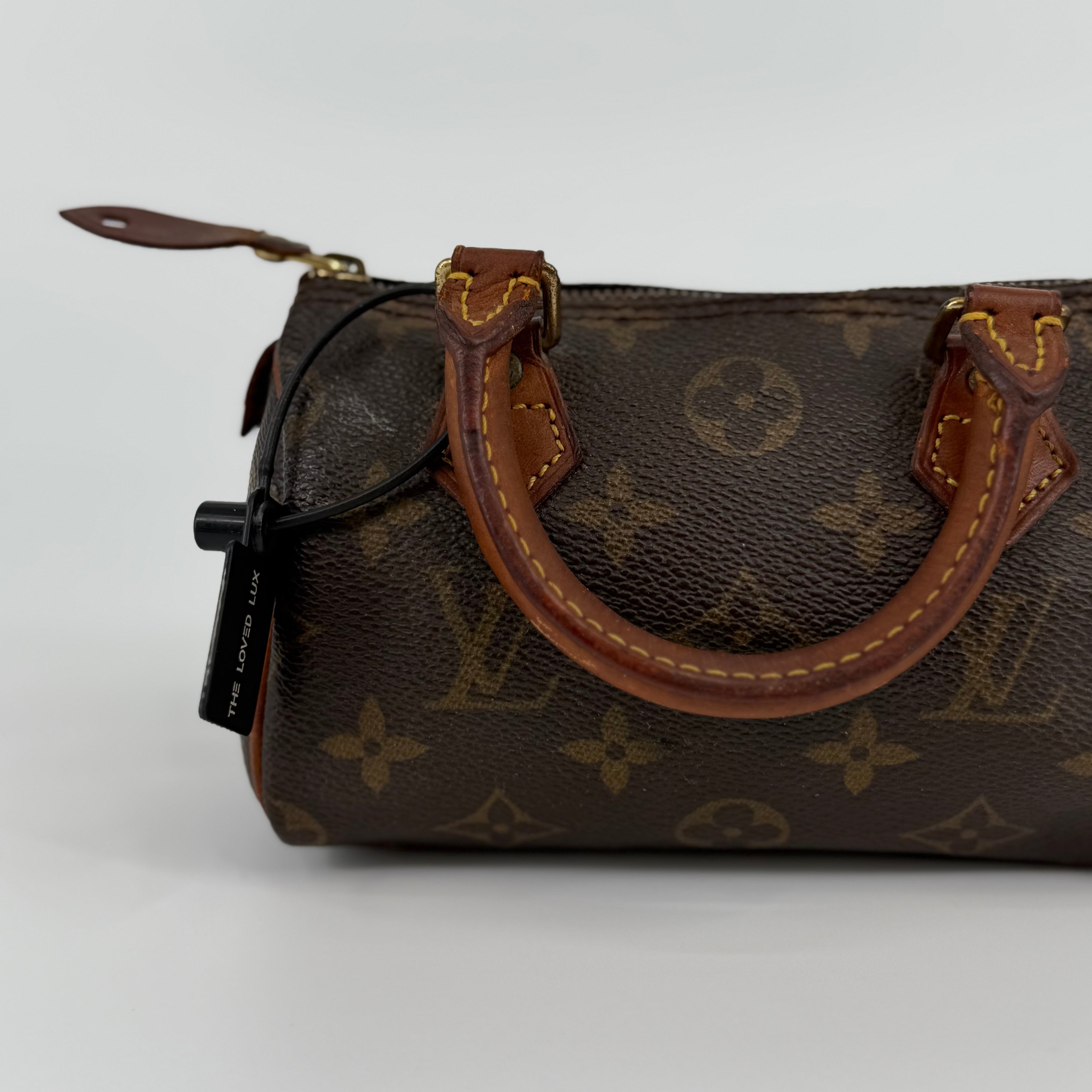 Louis Vuitton Monogram Nano Speedy 16