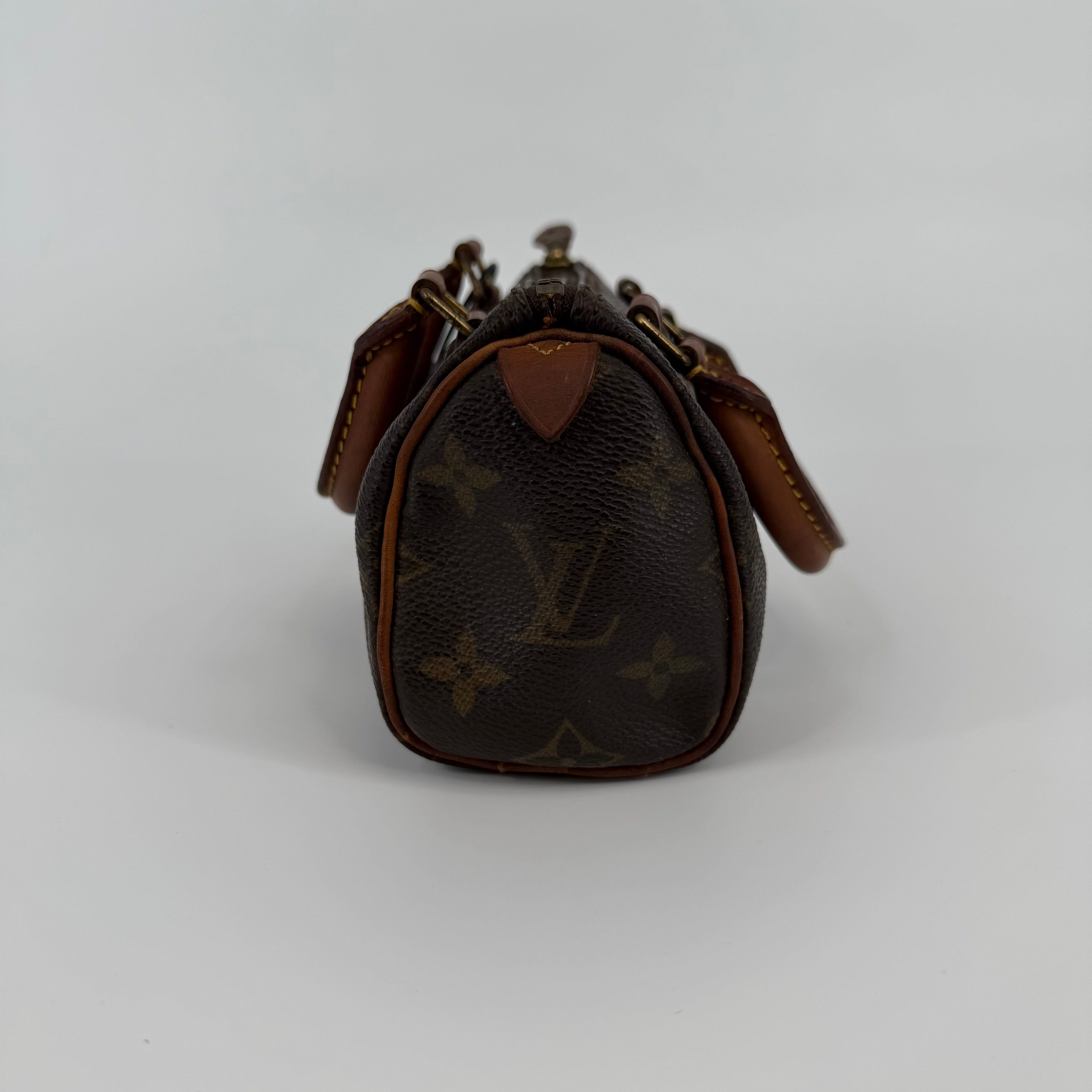 Louis Vuitton Monogram Nano Speedy 16