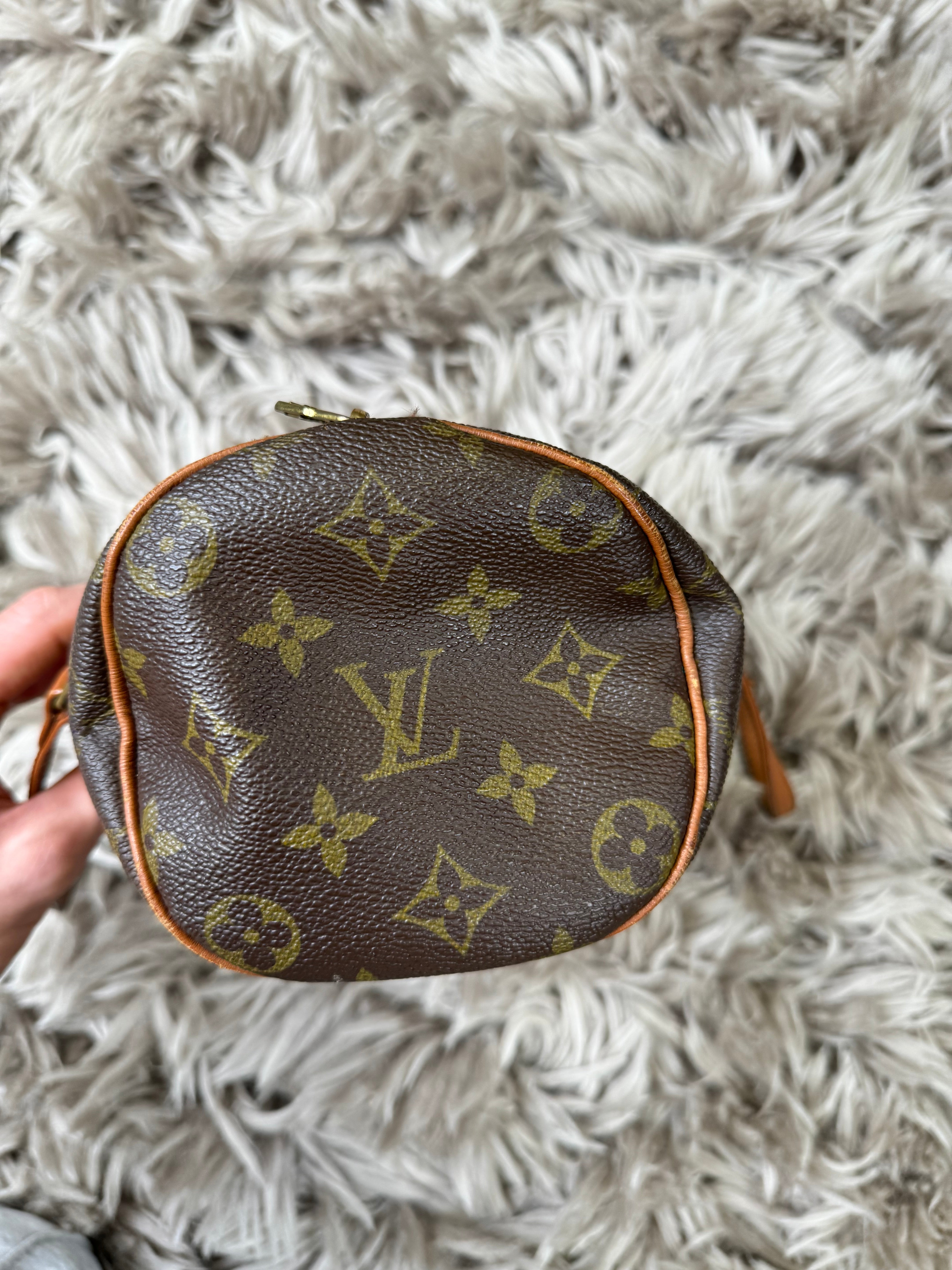 Louis Vuitton papillon bag