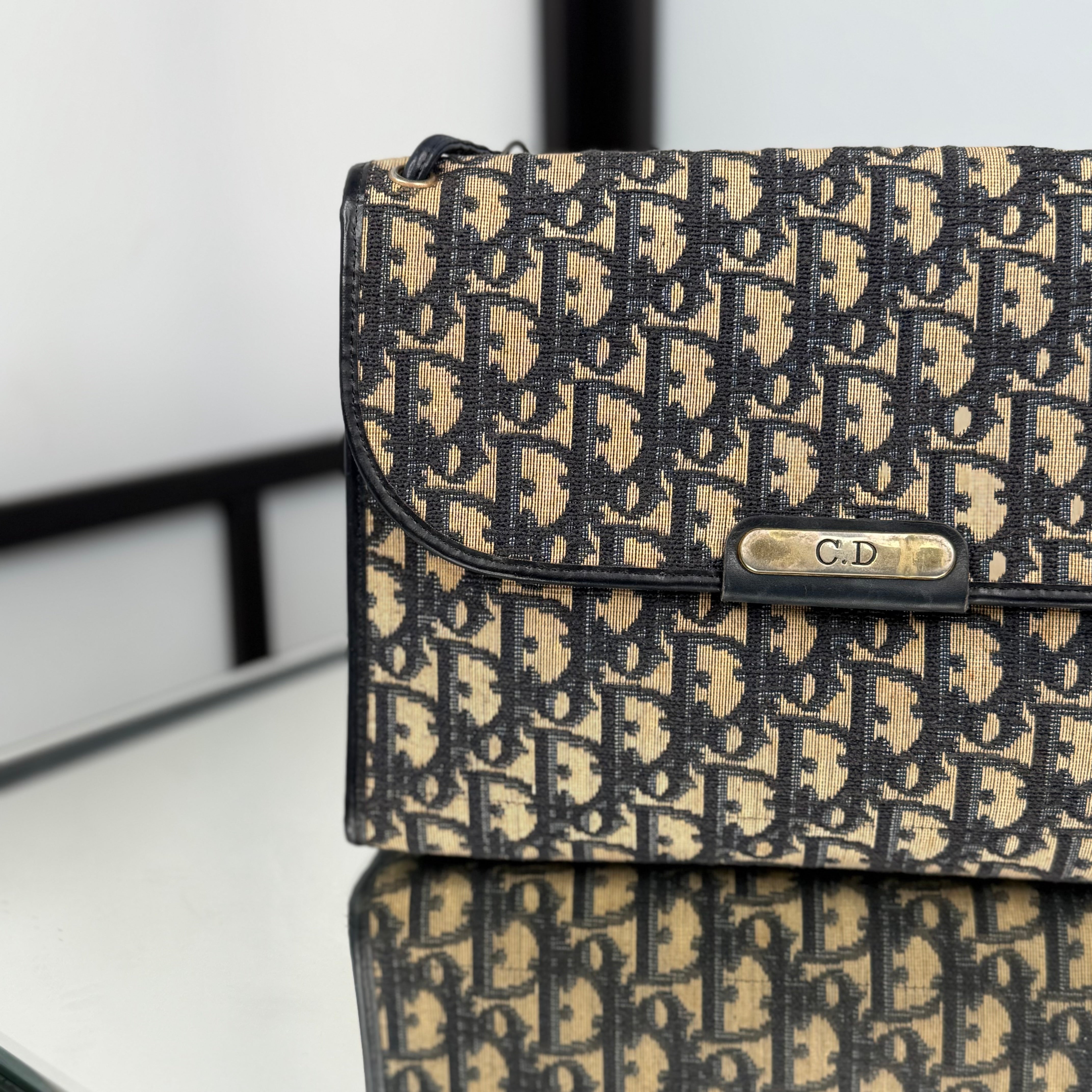DIOR Trotter Canvas Shoulder Bag