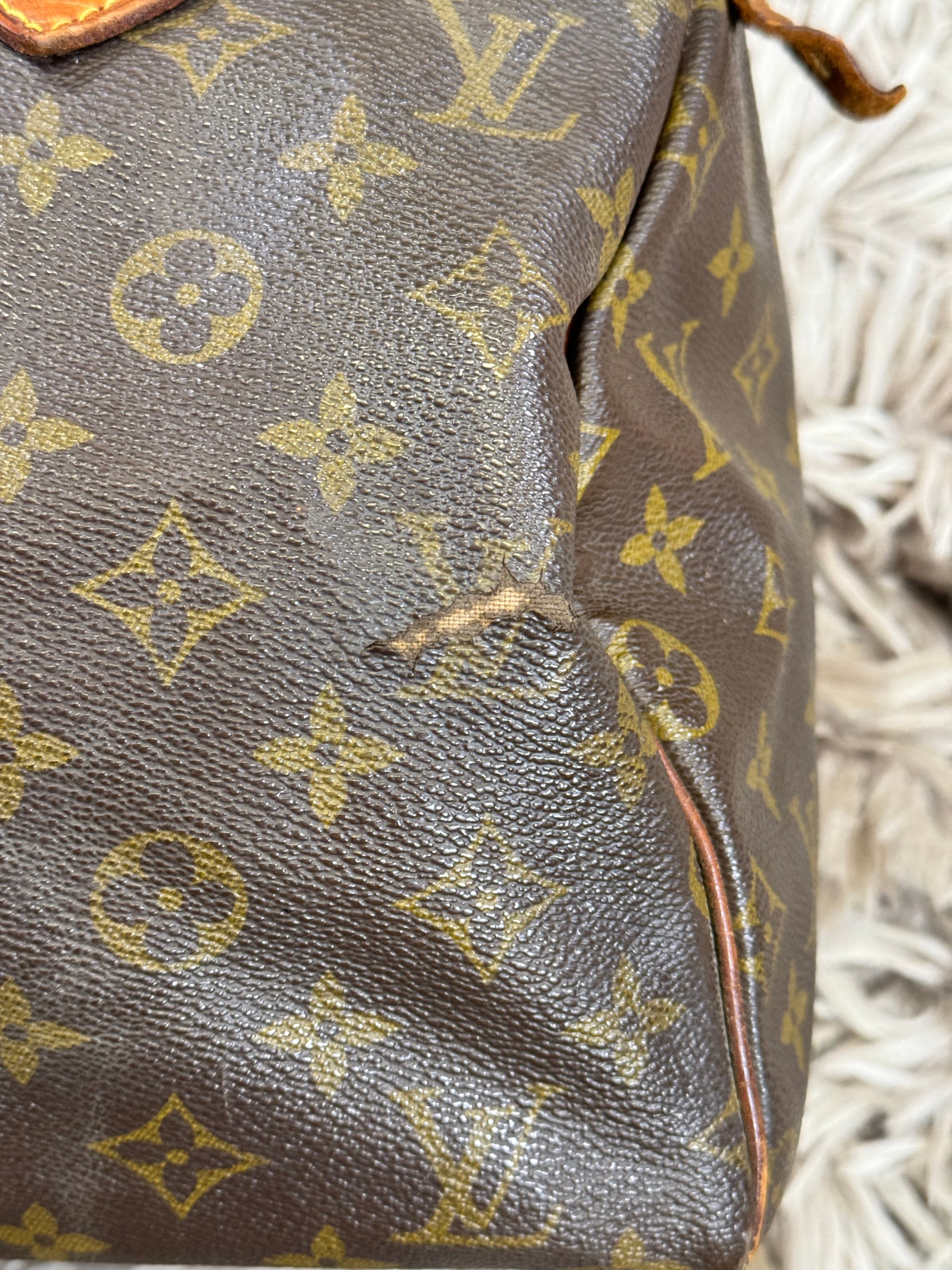 Louis Vuitton speedy 30 monogram