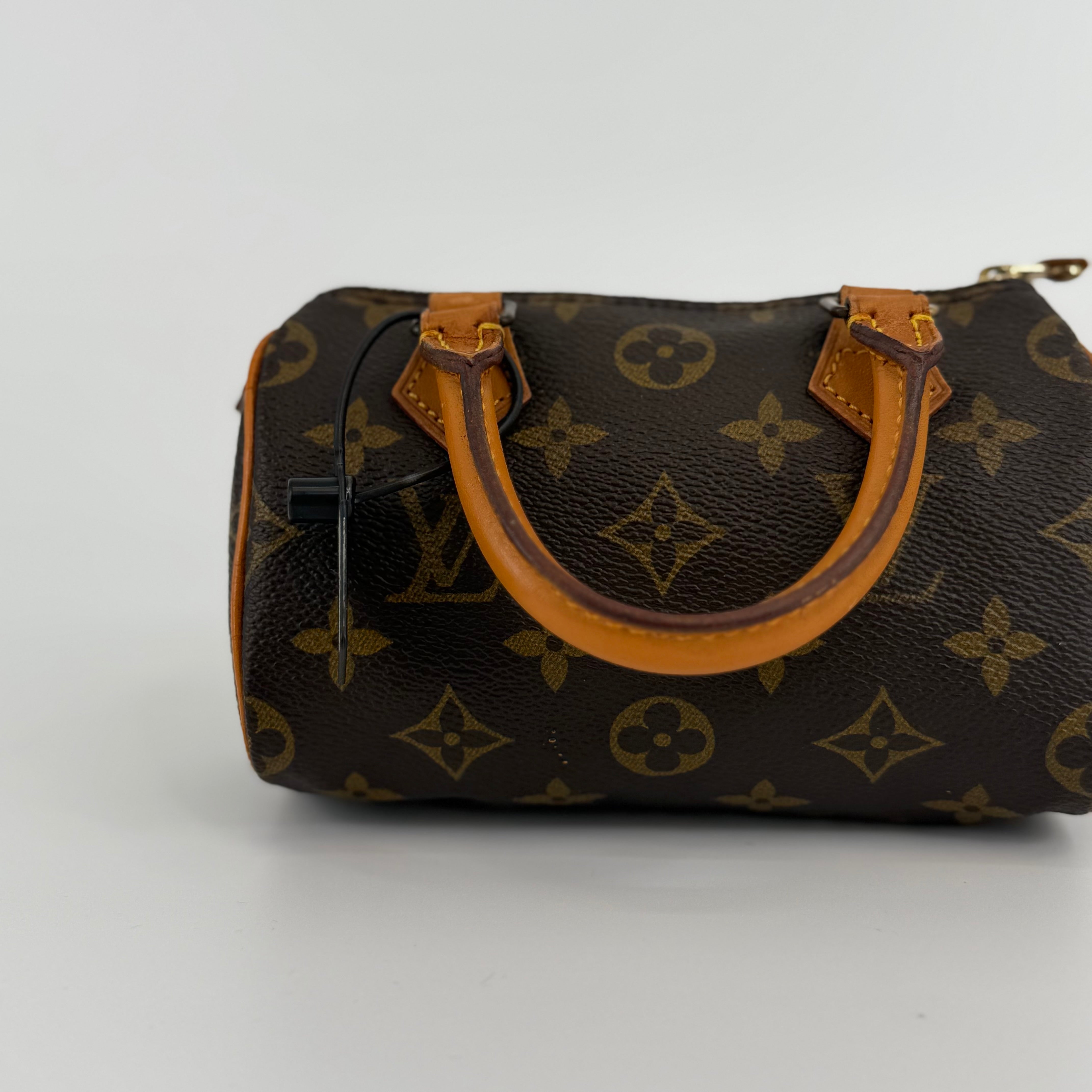 Louis Vuitton Monogram Nano Speedy 16