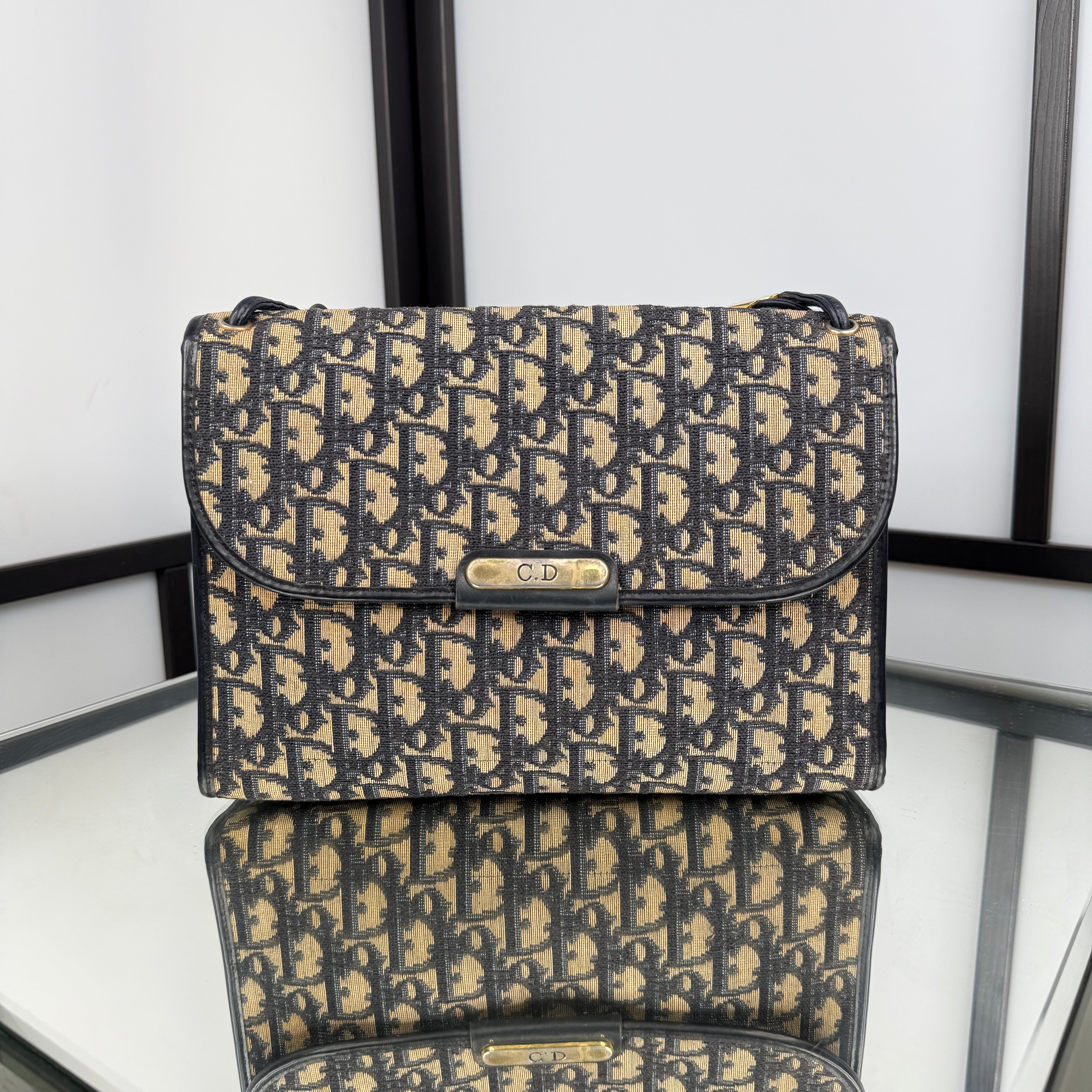 DIOR Trotter Canvas Shoulder Bag