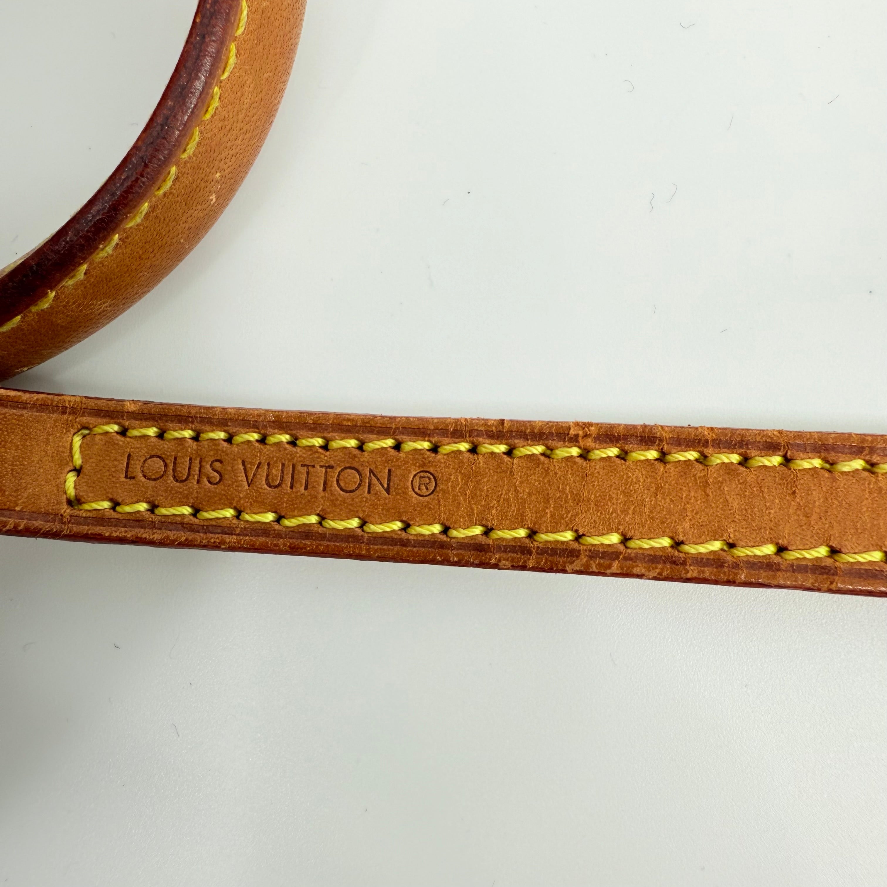 Louis Vuitton Monogram Nano Speedy With Strap