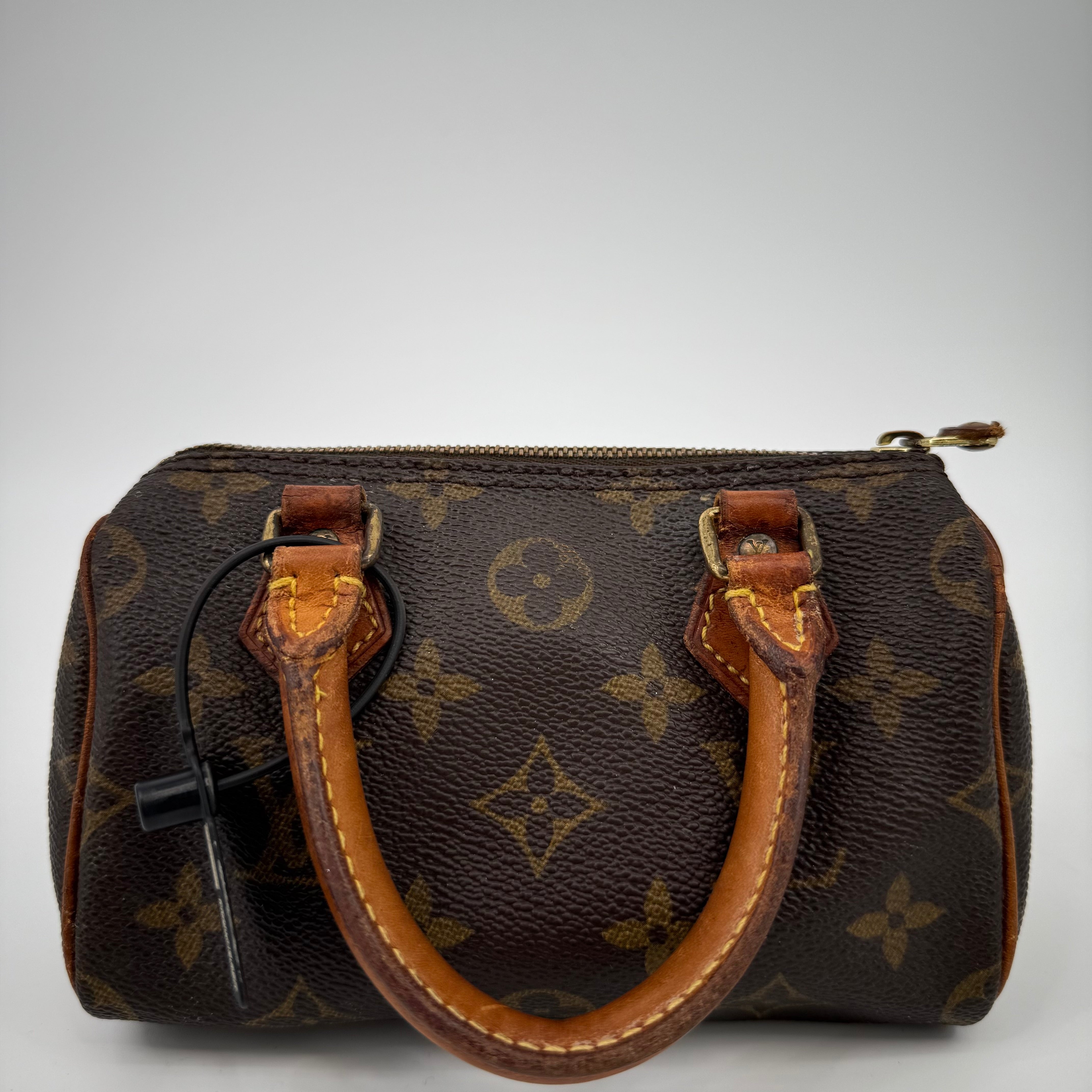 Louis Vuitton Monogram Nano Speedy 16