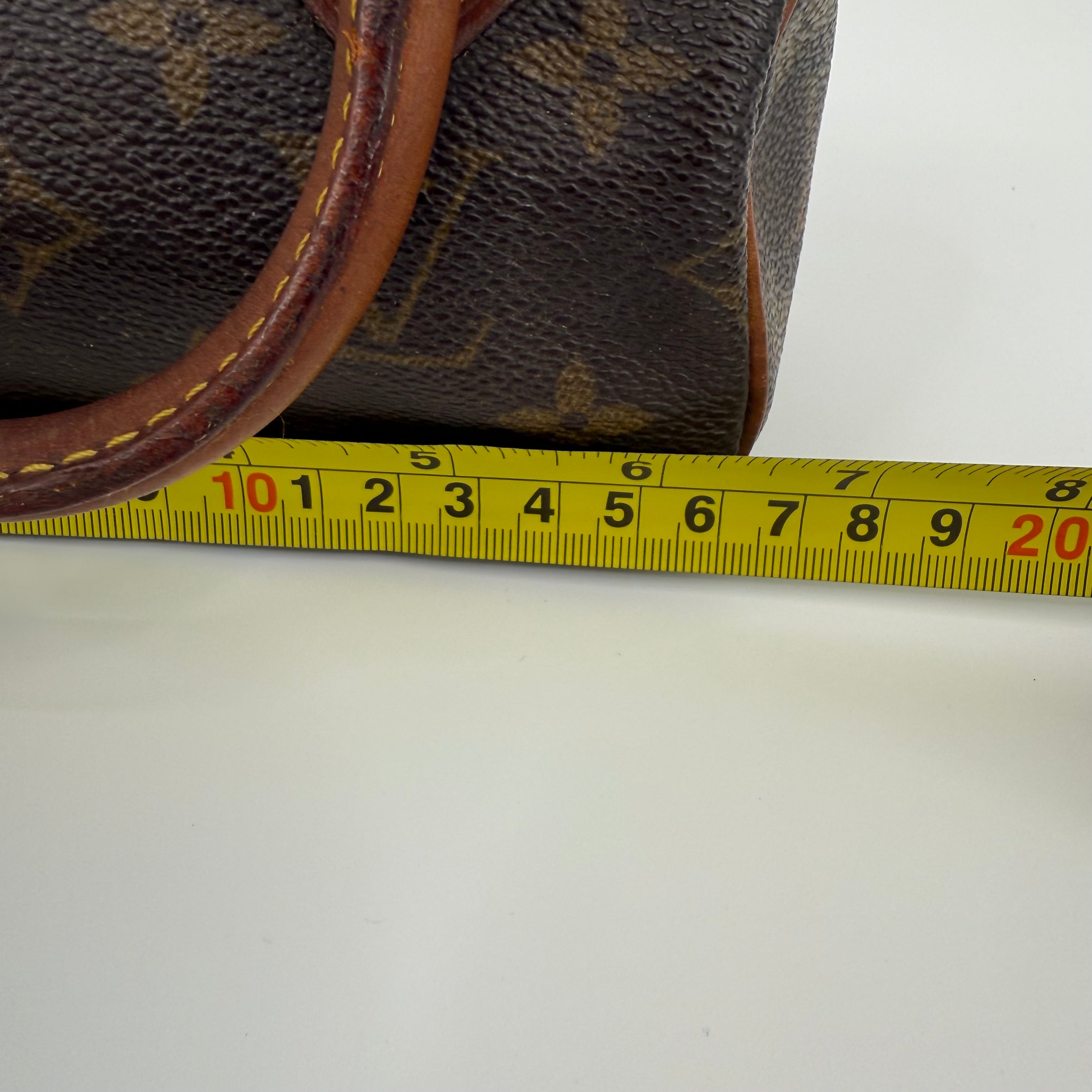 Louis Vuitton Monogram Nano Speedy 16