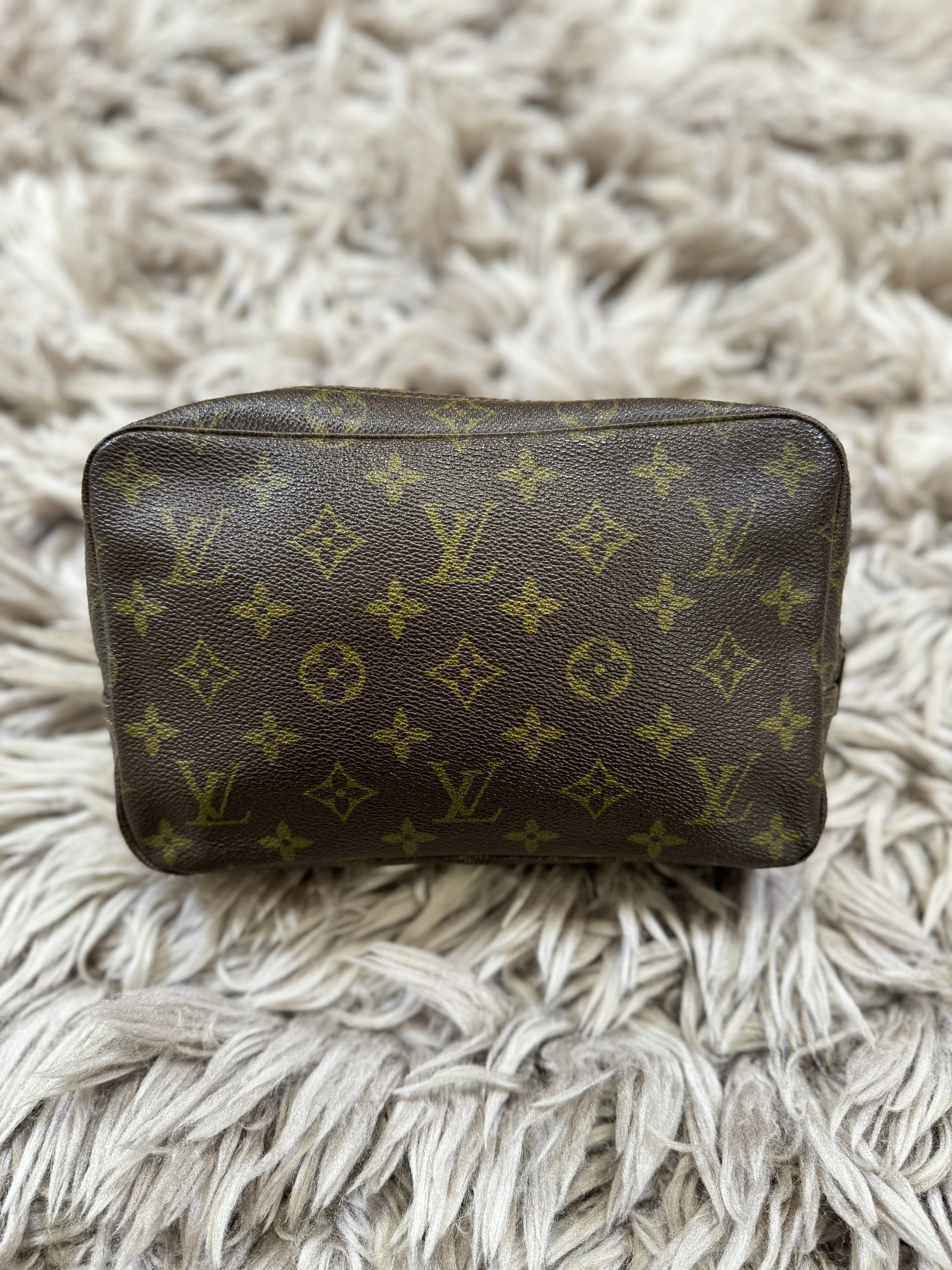 Louis Vuitton wash bag (medium)