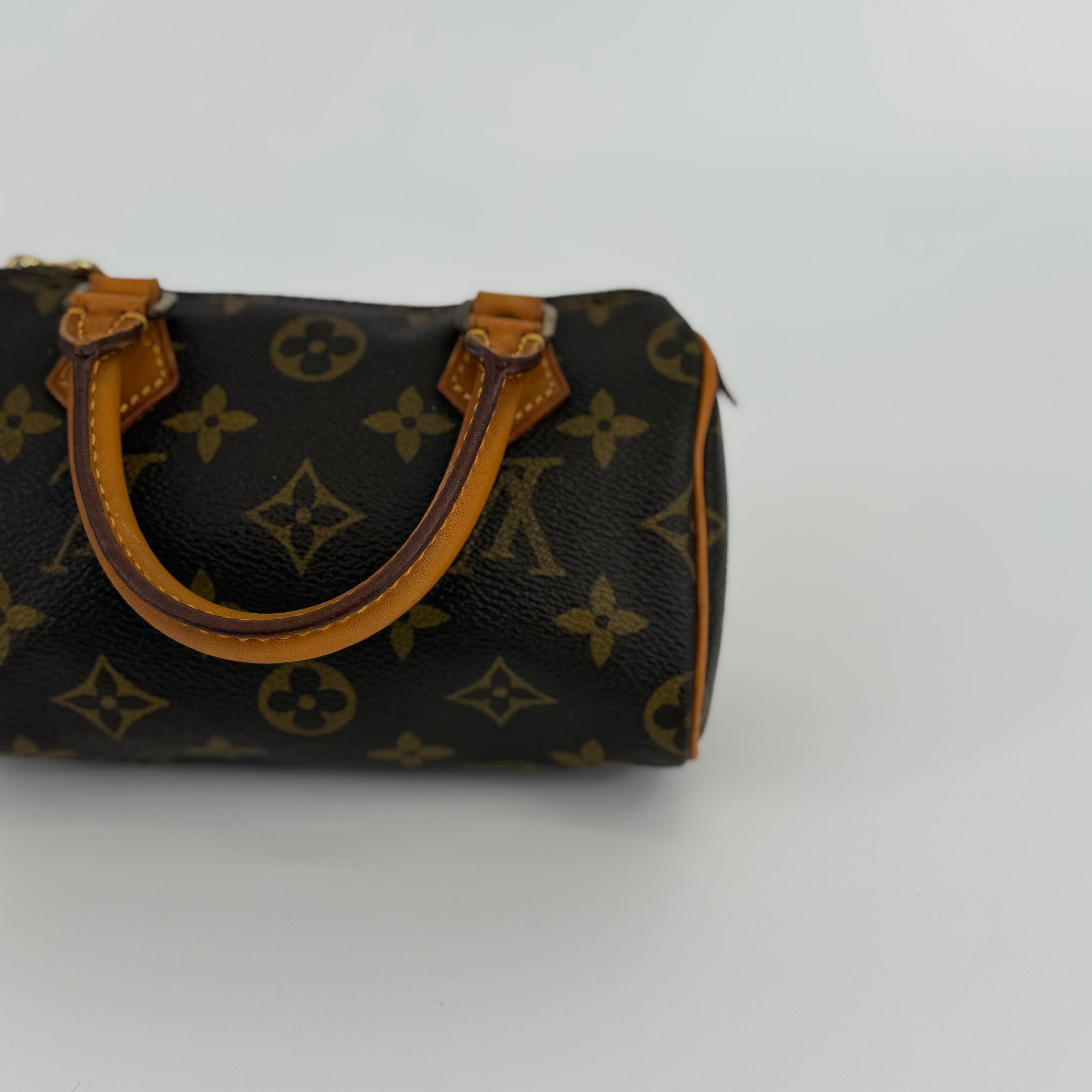 Louis Vuitton Monogram Nano Speedy 16