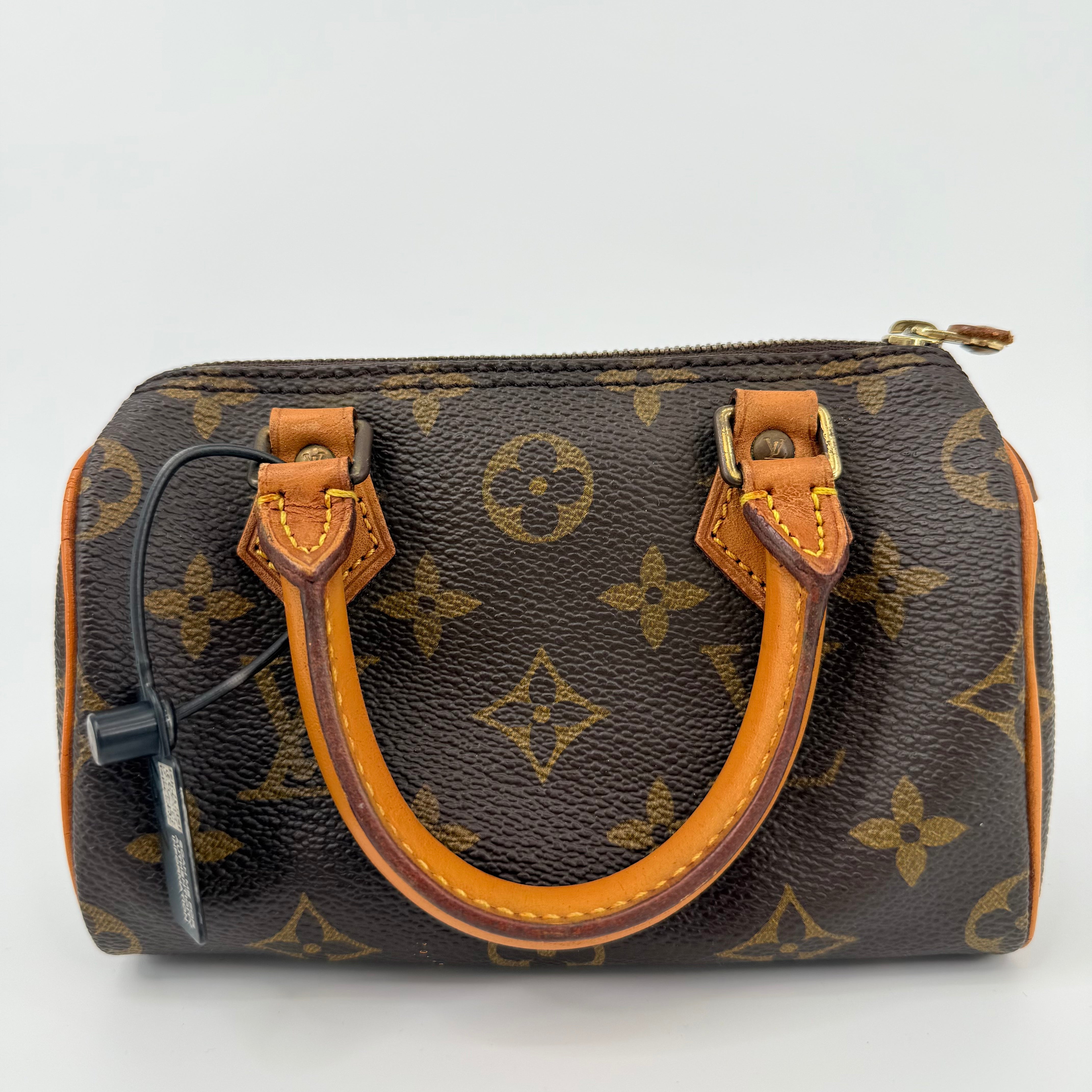 Louis Vuitton Monogram Nano Speedy 16