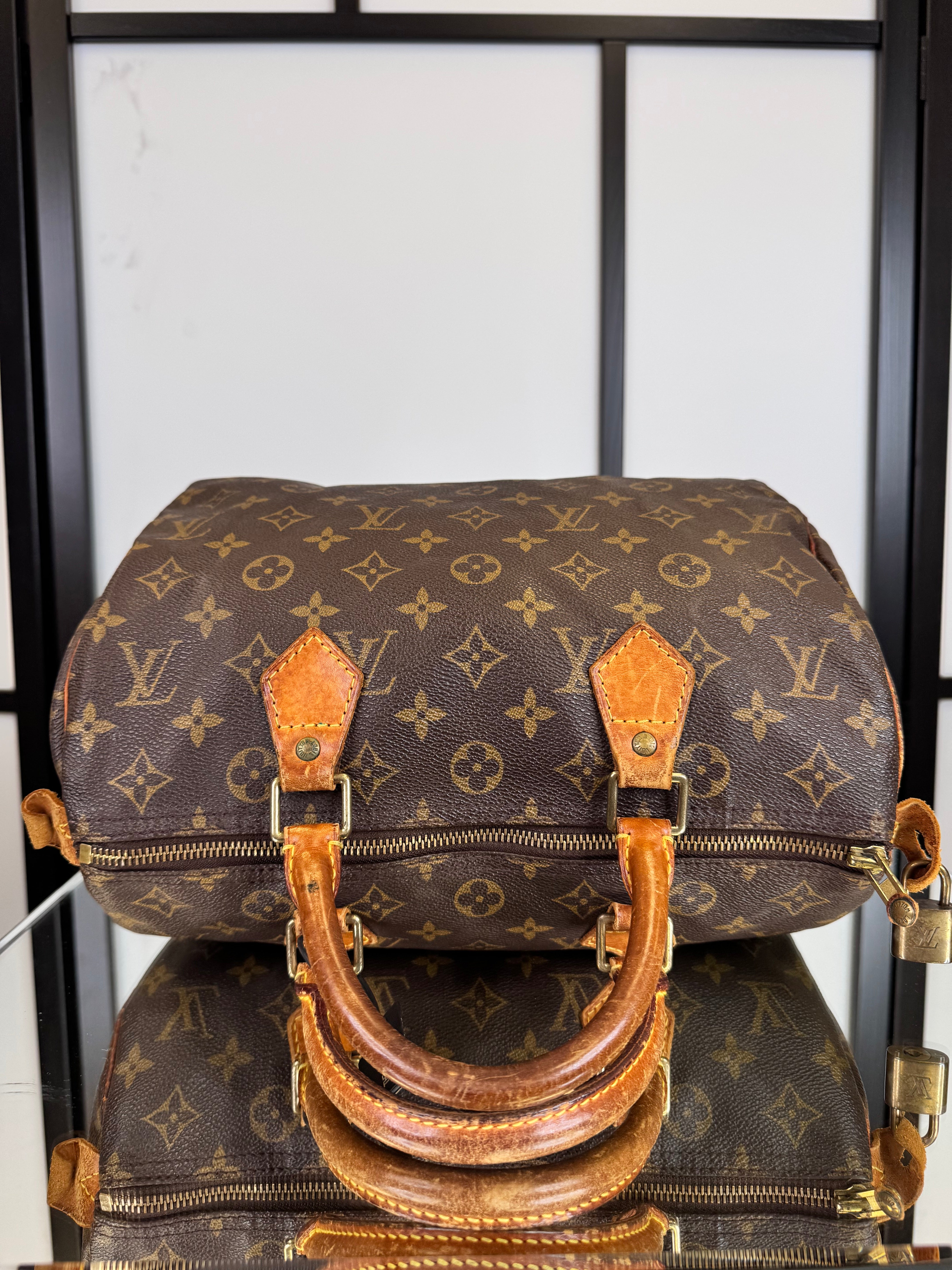 Louis Vuitton Speedy 30