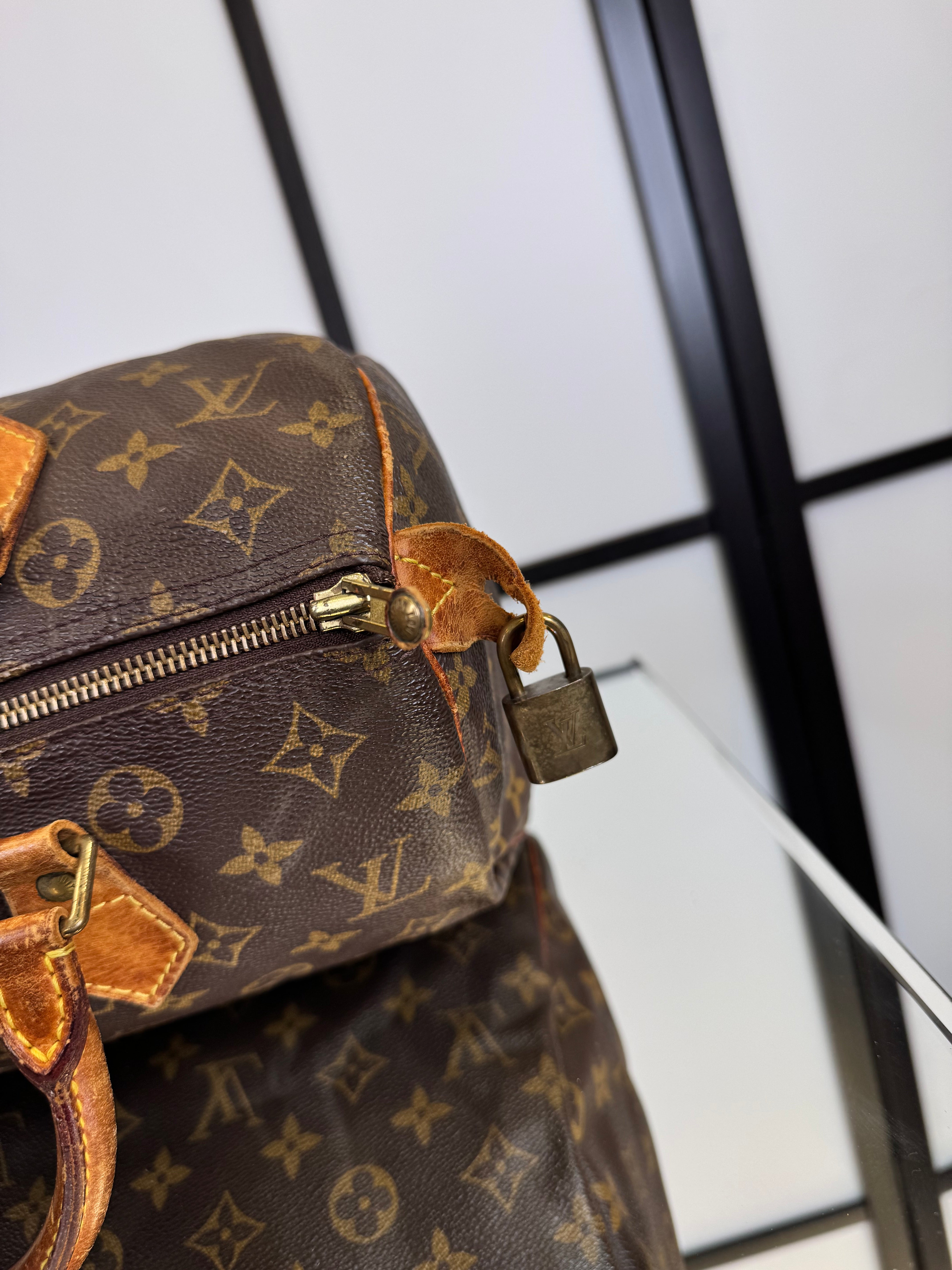 Louis Vuitton Speedy 30