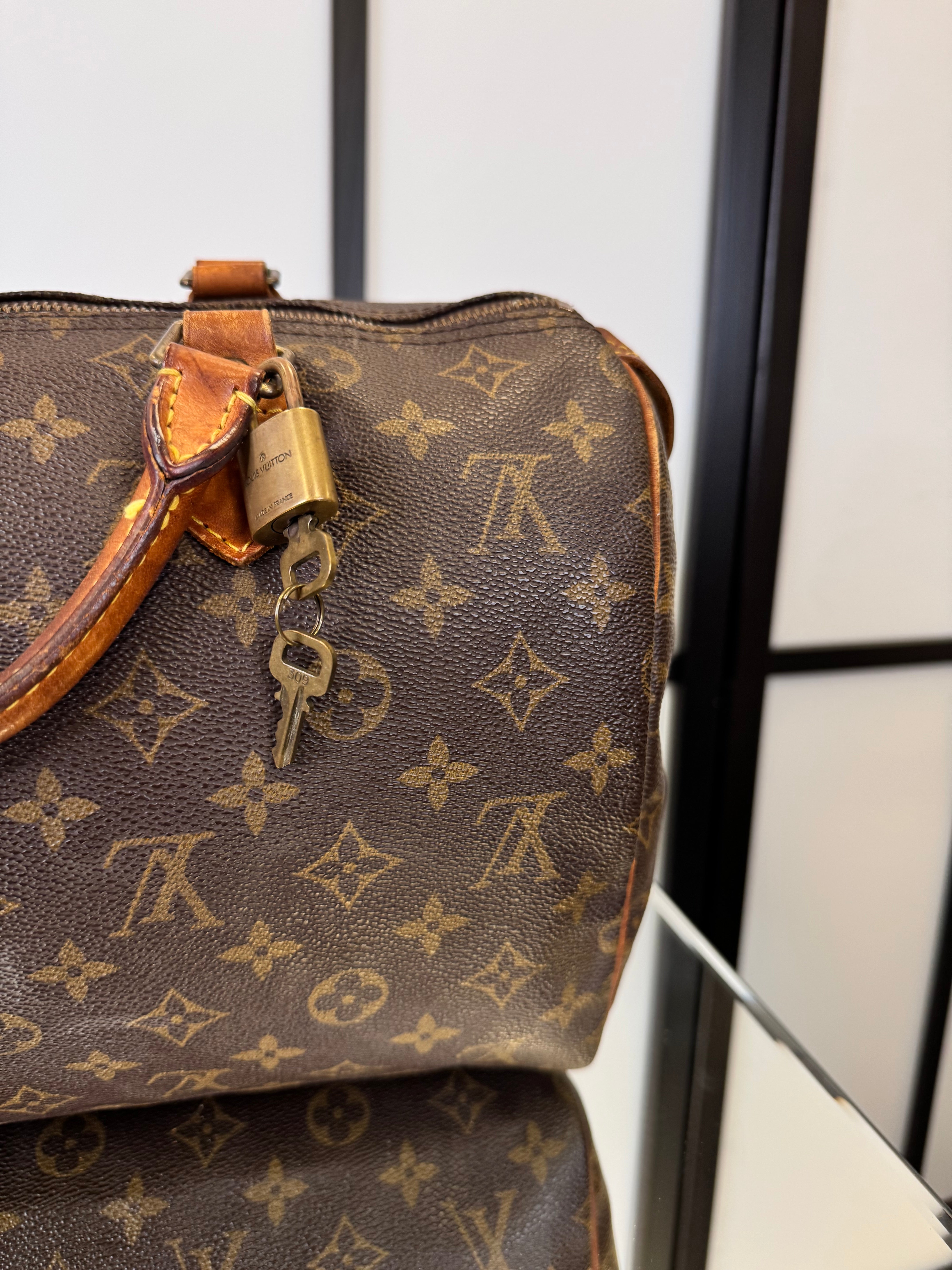 Louis Vuitton Speedy